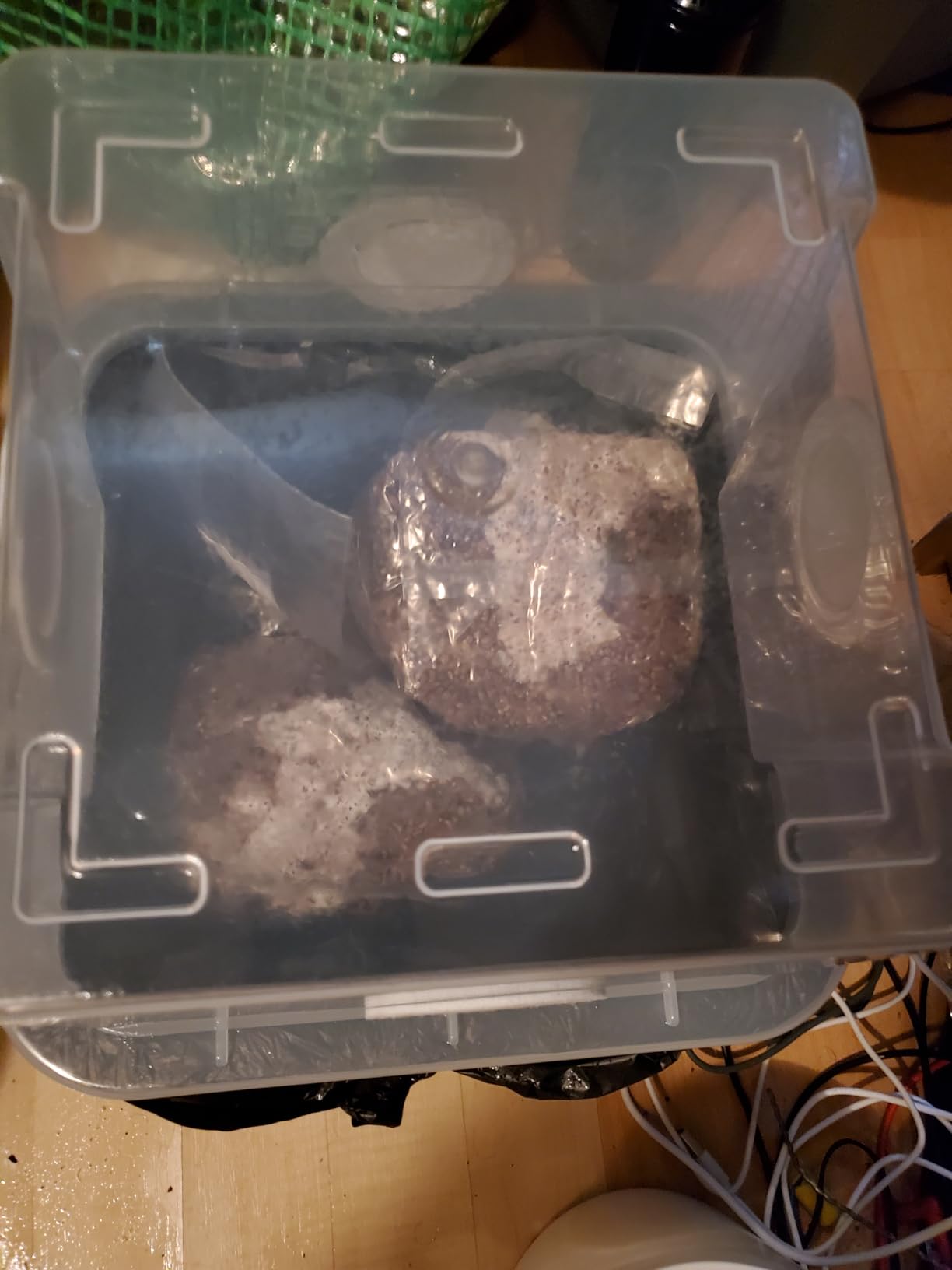 Myco Labs Grower's Select 28Q Cube Mushroom Monotub Fruiting Chamber with Filter Disks and Liner customer photo 1