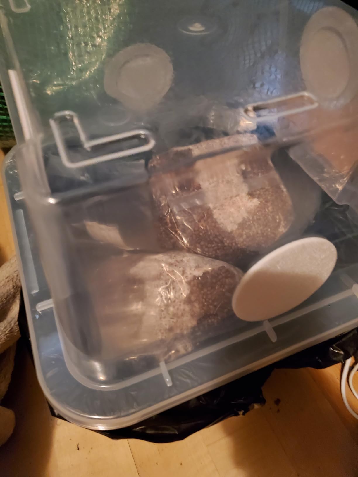 Myco Labs Grower's Select 28Q Cube Mushroom Monotub Fruiting Chamber with Filter Disks and Liner customer photo 2