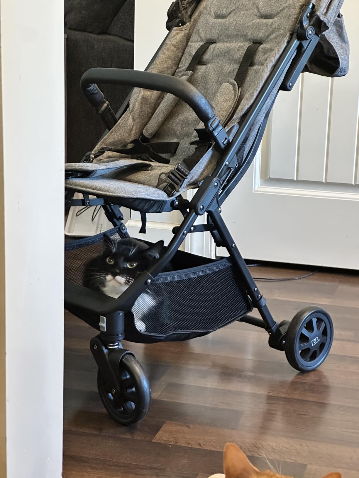 Lightweight Travel Stroller for Baby & Toddlers - Easy Fold & Compact Stroller with Canopy, Storage Basket, Multi-Position Recline & Convenient One-Hand Fold (Grey) customer photo 2