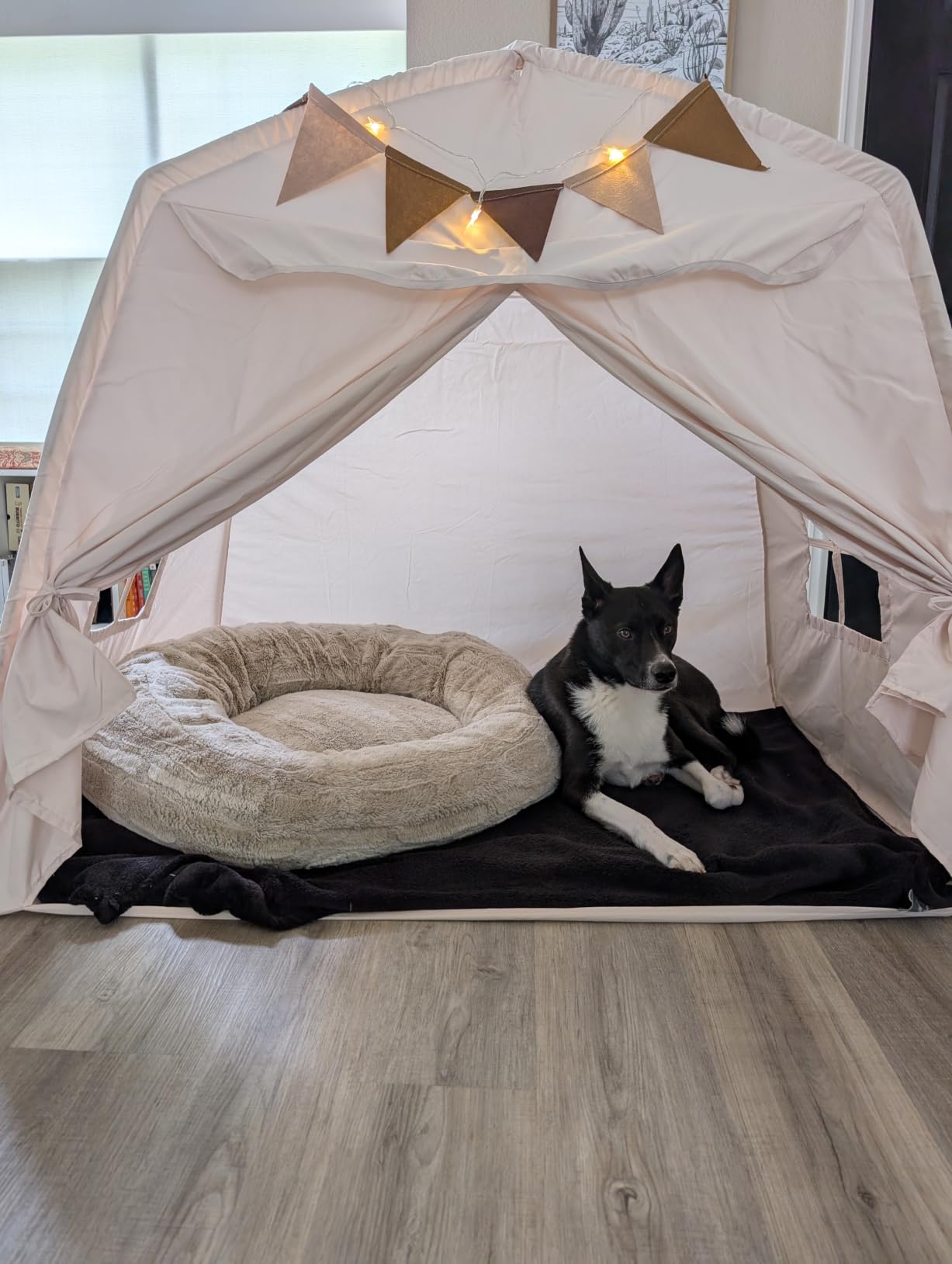 Little Dove Extra Large Kids Play Tent with Flags & Star Lights, Portable & Foldable Teepee Tents, Dome Tent Playhouse for Indoor & Outdoor Use, Kids Tent for Boys & Girls, 59x39x59 in, Cream customer photo 1