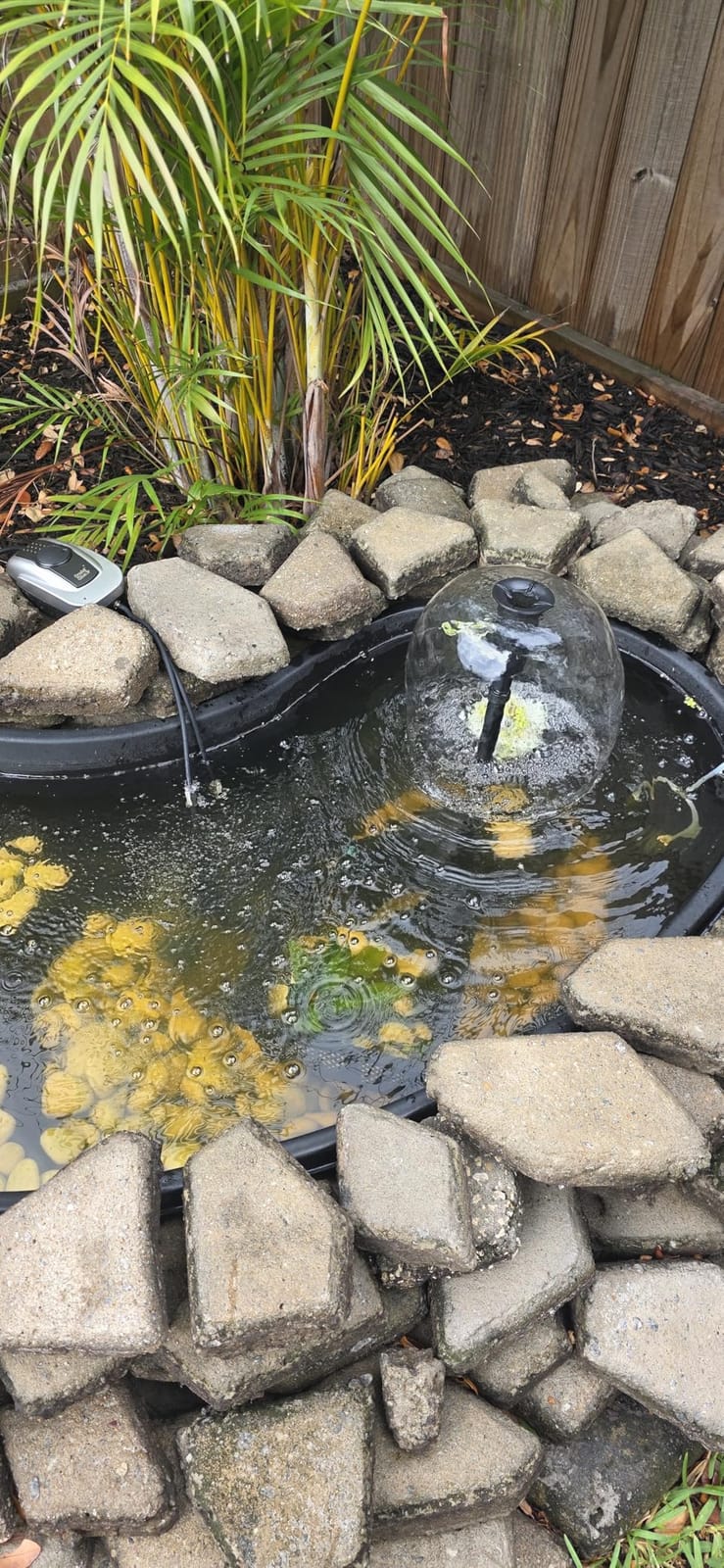 POPOSOAP Pond Filter with Pump Fountain Kits, 660GPH Pond Filter with 40W Pond Pump & Fountain Kit, Koi Pond Filters for Outdoor Ponds Clean, Clear, and Add Water Features customer photo 1