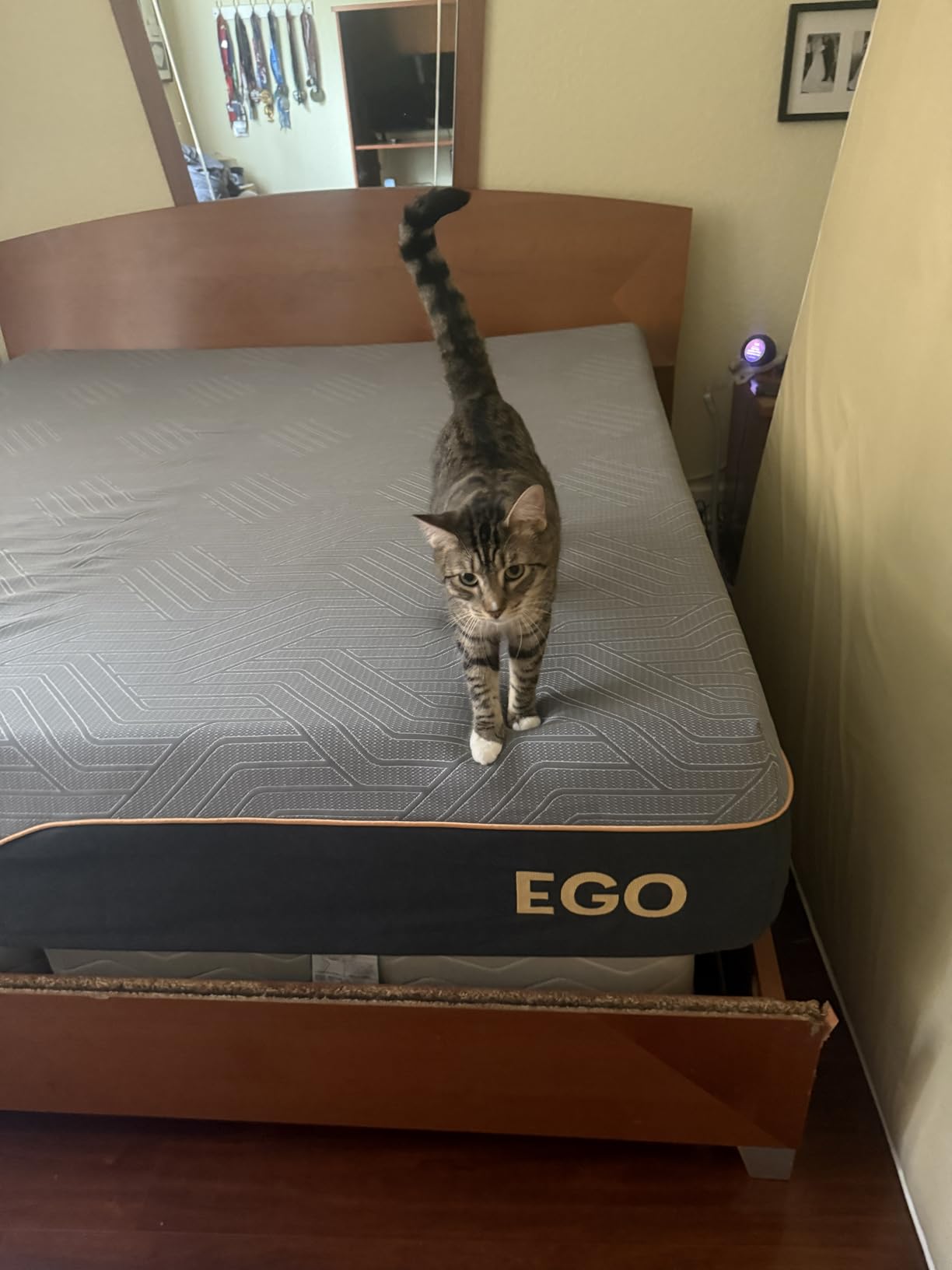 EGOHOME King 14 inch Copper Gel Memory Foam Mattress Pressure Relief Medium | Fiberglass Free, Back pain Relief, Graphene Tech Cover, ICA Endorsed, CertiPUR-US, Motion Isolation, Mattress in Box, Medium customer photo 1