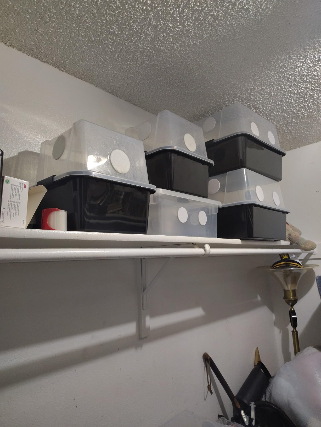 Grower's Select 28Q Cube Mushroom Monotub Fruiting Chambers with Filter Disks and Liners (2 Pack) customer photo 2