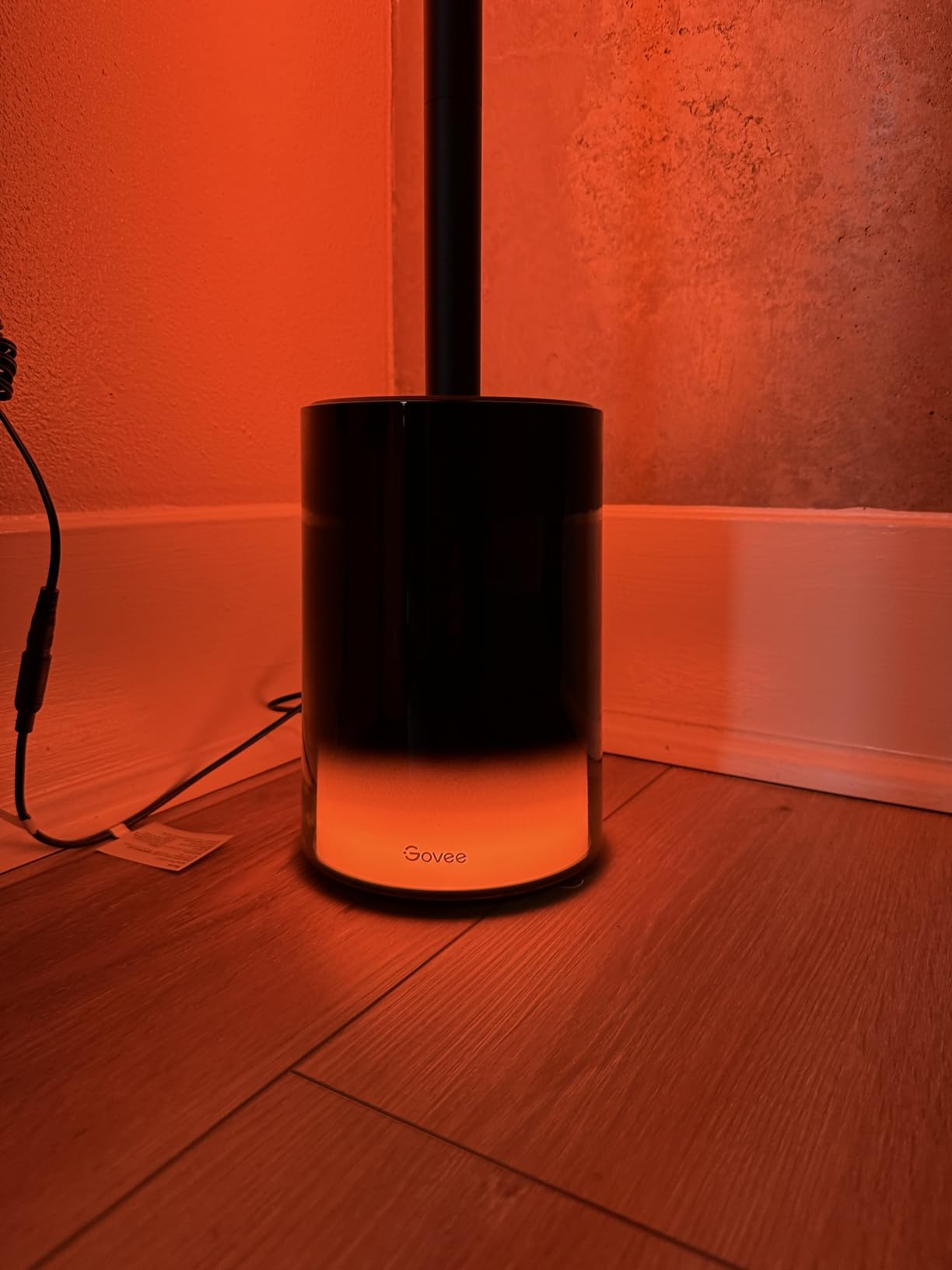 Govee Floor Lamp 2, RGBIC Smart Floor Lamp for Living Room, Bedroom | 1725lm, Warm Cool White LED, 2200K-6500K, Compatible with SmartThings, Matter, Alexa, Music Sync, Scene Modes, Black(1 Pack) customer photo 2