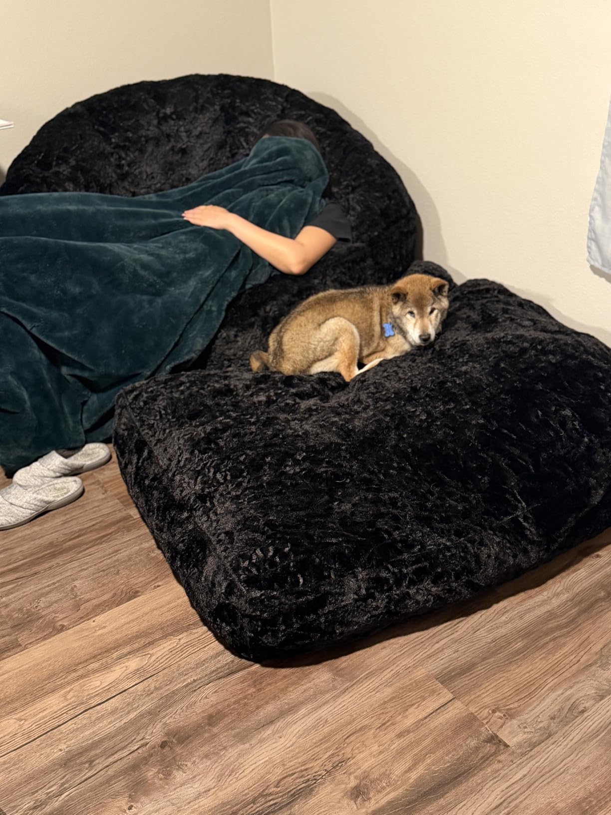 MAXYOYO Giant Bean Bag Chair for Adults, Oversized Shell Shape Bean Bag customer photo 2