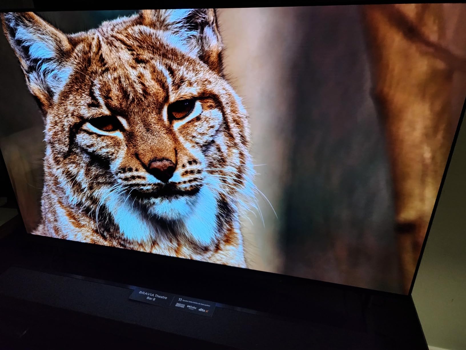 Sony 55 Inch BRAVIA 8 OLED 4K HDR Smart Google TV (K-55XR80) | XR Processor with AI Technology, Dolby Vision/Atmos, Exclusive Features for PlayStation 5, 4K movie credits included customer photo 2