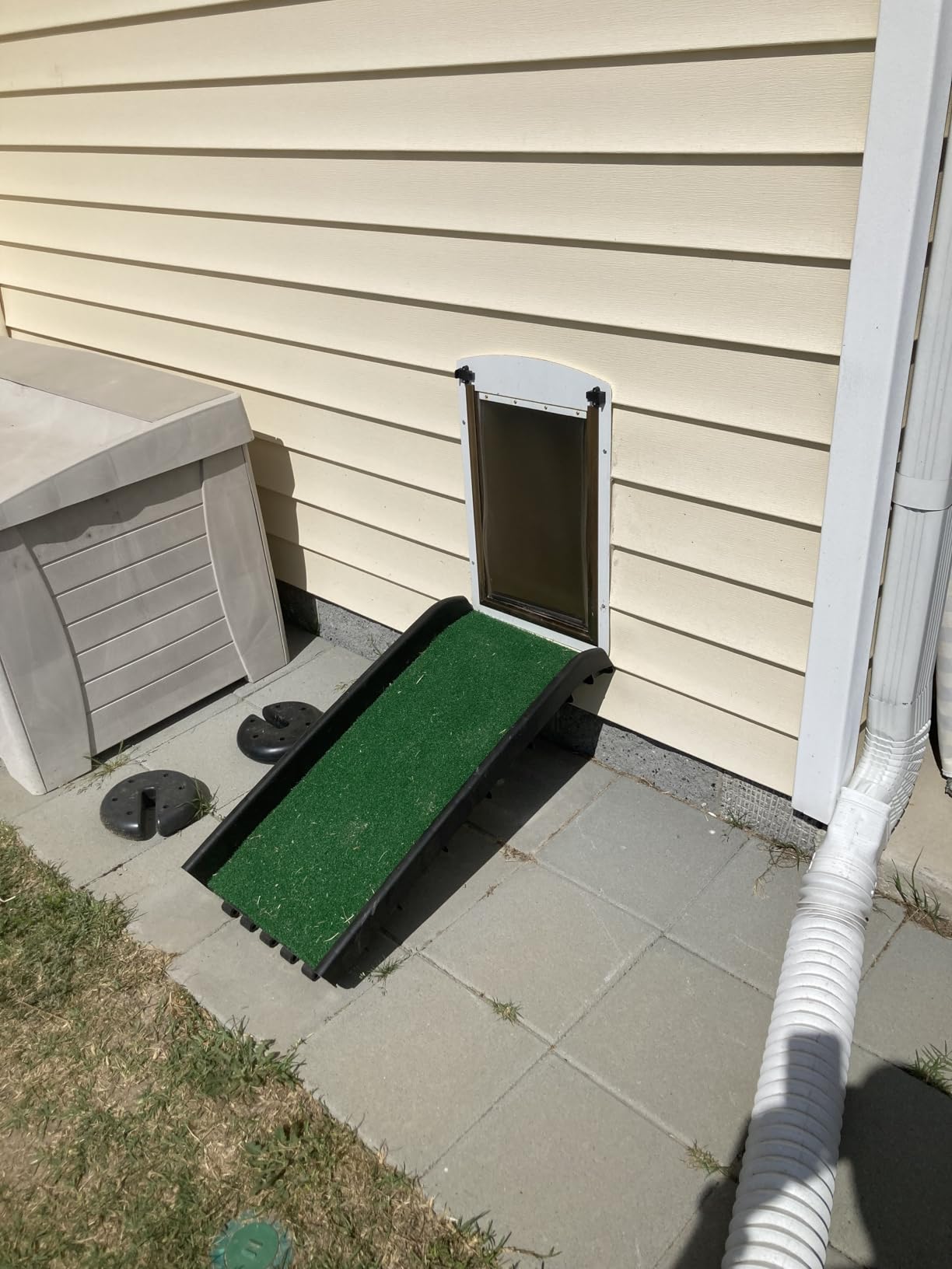 PawStep 50894 Pet Ramp for Dogs & Cats - Foldable Portable Dog Ramp with Poly Grass Non-Slip Surface, Lightweight Travel Ramp for Cars, SUVs, Beds & Couches customer photo 1