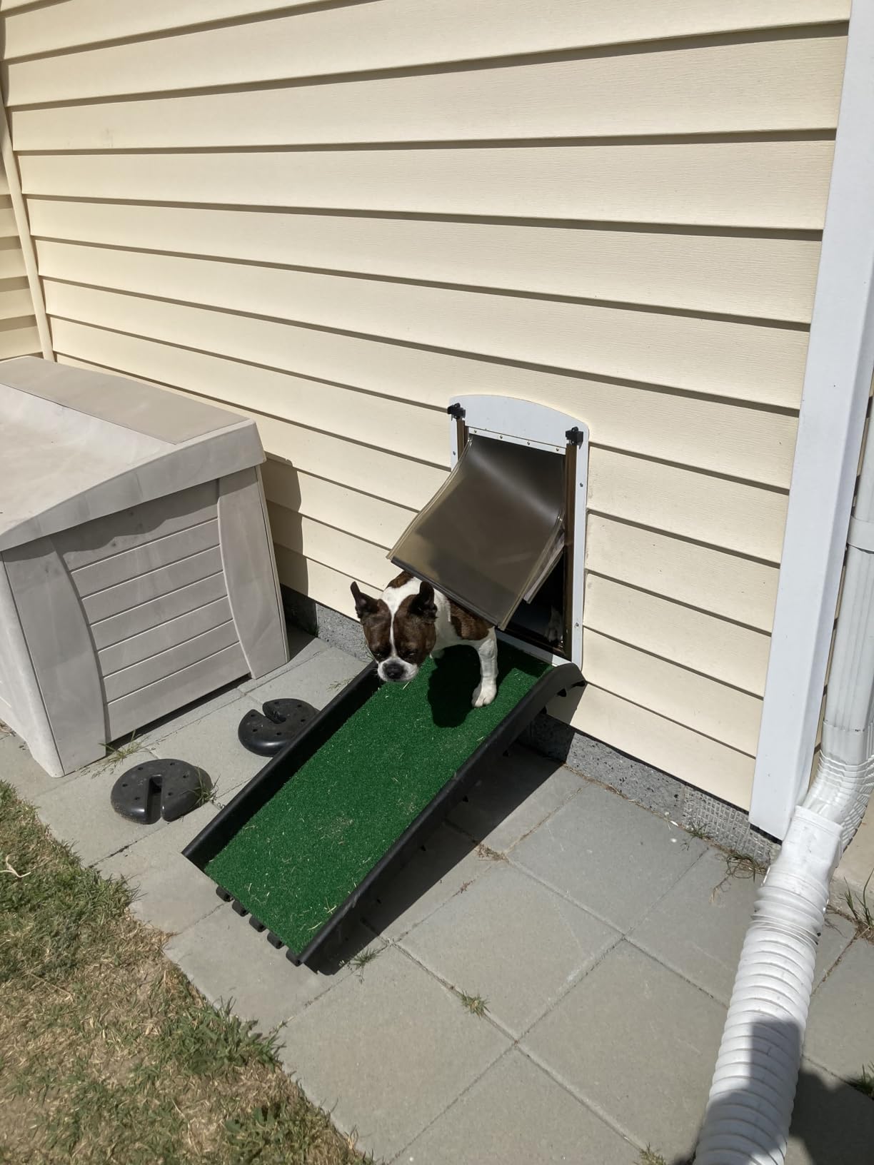 PawStep 50894 Pet Ramp for Dogs & Cats - Foldable Portable Dog Ramp with Poly Grass Non-Slip Surface, Lightweight Travel Ramp for Cars, SUVs, Beds & Couches customer photo 2