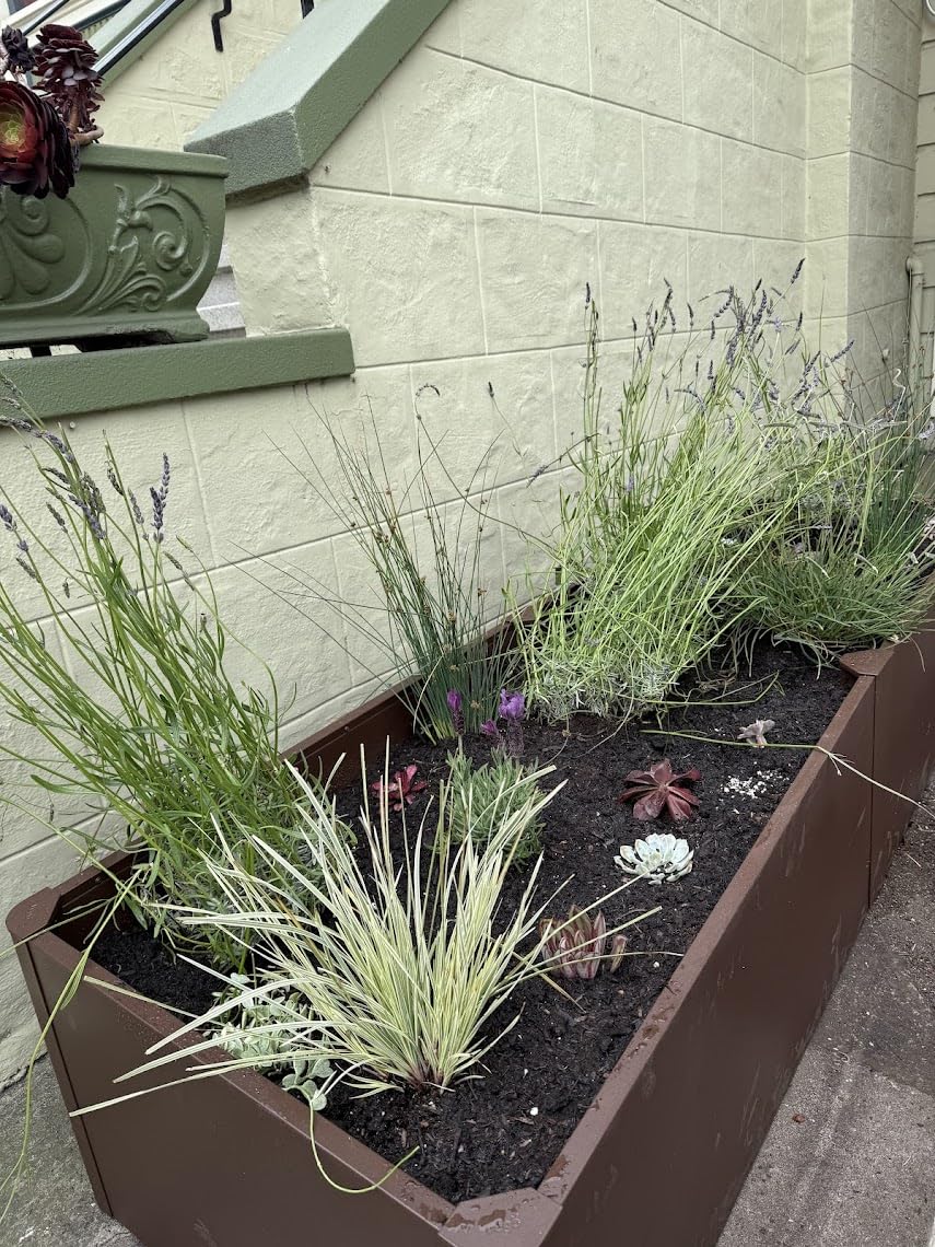 Vego garden Modern Raised Garden Bed 17