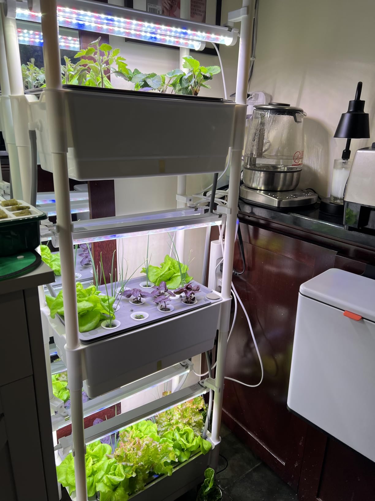 Hydroponics Growing System, AOONEG 42Pods Indoor Herb Garden with LED Grow Light, Hydroponics Growing System Kit with Automatic Timer, Pump System, Adjustable Height (3Layer-42Pods) customer photo 1