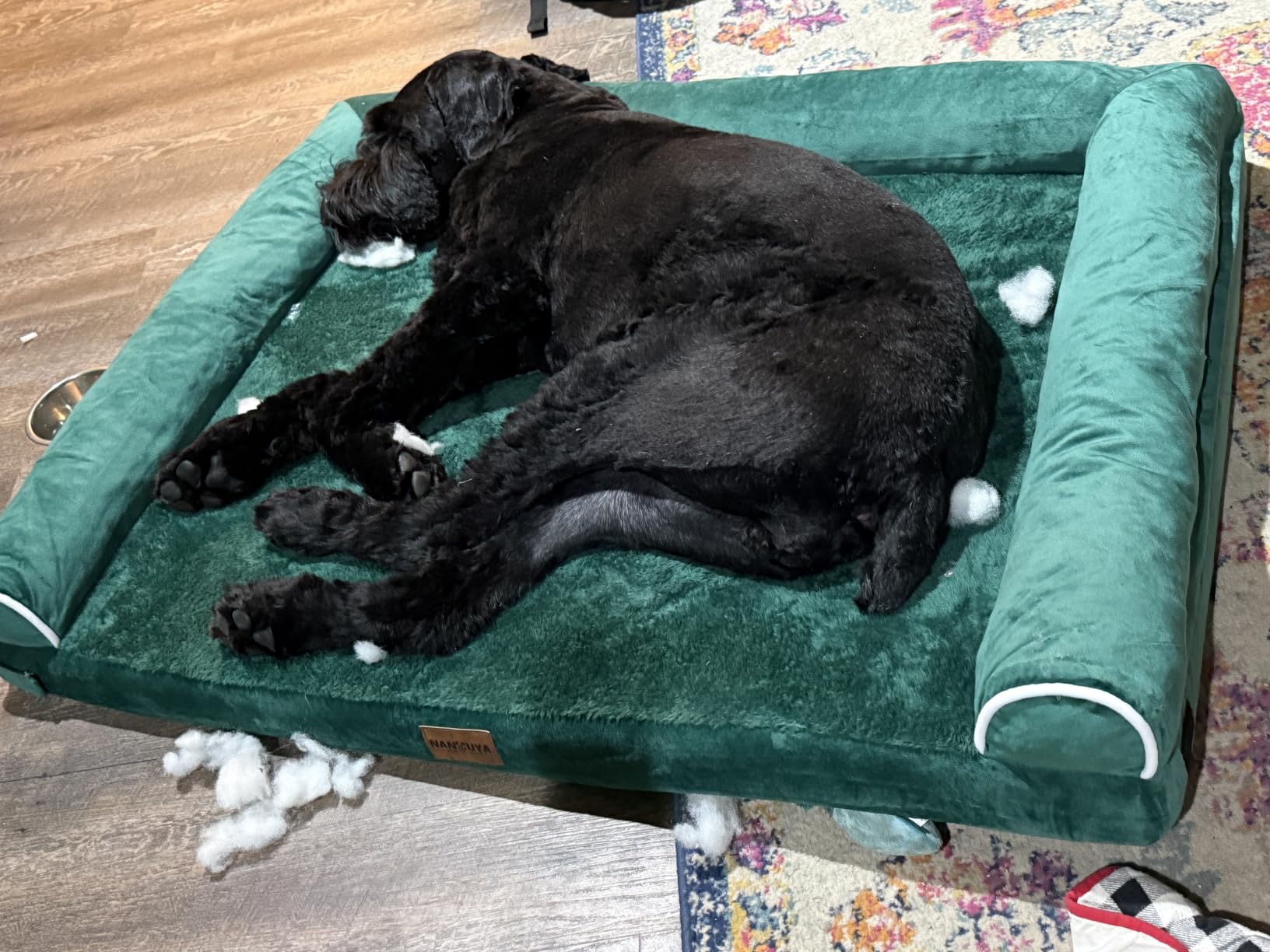 NANUYA Orthopedic Dog Bed for Large Dogs, 36 x 27 Inch, Light Grey | Egg crate foam for joint support, 3-sided bolster pet sofa, waterproof lining, washable cover, and non-skid base customer photo 1