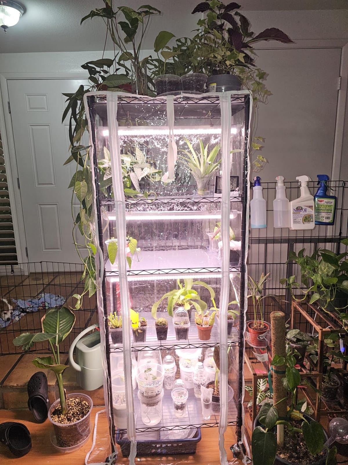Indoor Greenhouse with Grow Lights with 72W, 5 Tier 23.2