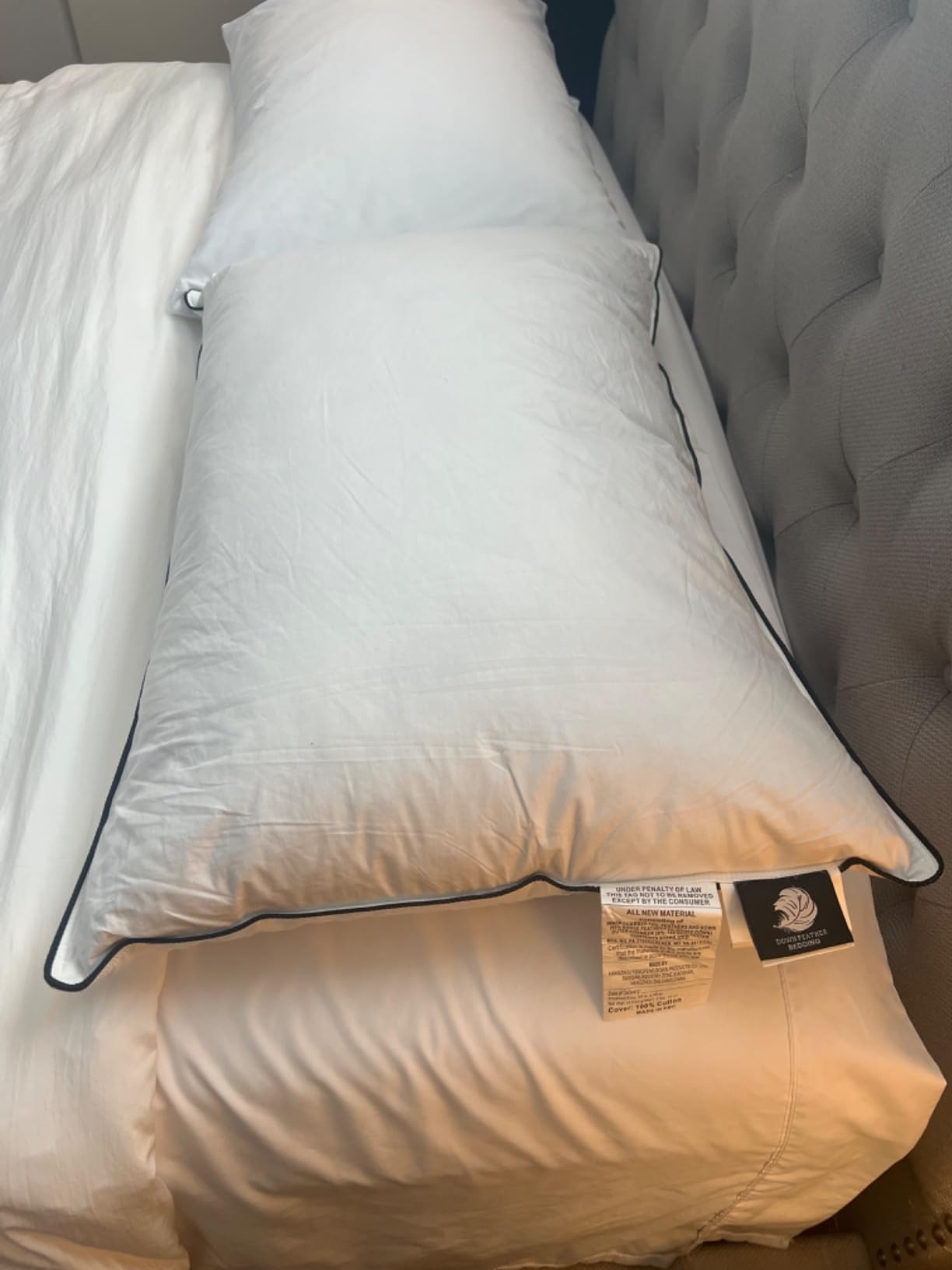 BPC Goose Feather Down Pillows Queen Size Set of 2, Medium Firm Luxury Bed Pillows for Sleeping, Organic Cotton Cover, Soft Yet Supportive Down Alternative Surround, RDS Certified, White 20