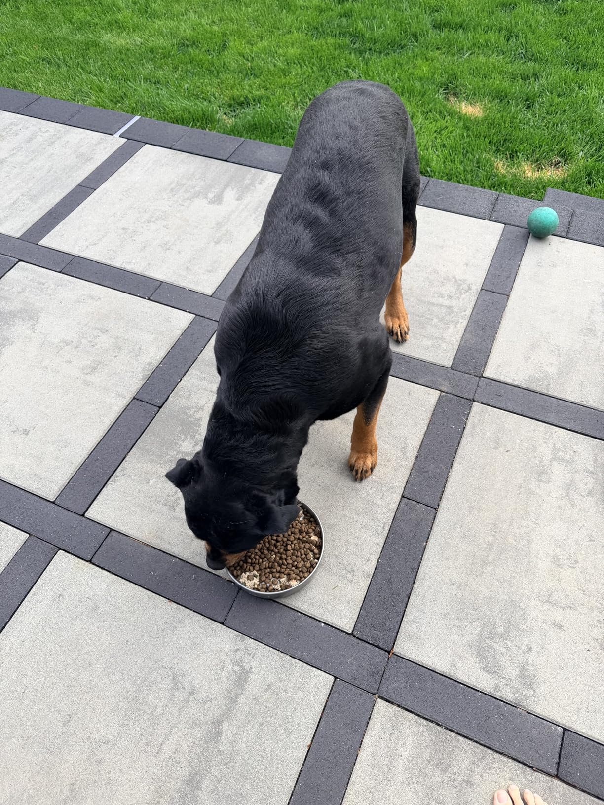 Slow Feeder Dog Bowl-2Cups for Medium Breeds, Double Wall Food-Grade Stainless Steel, Heavy Duty with Non-Slip Rubber Base, Puzzle Maze Bowl to Slow Down Eating customer photo 1