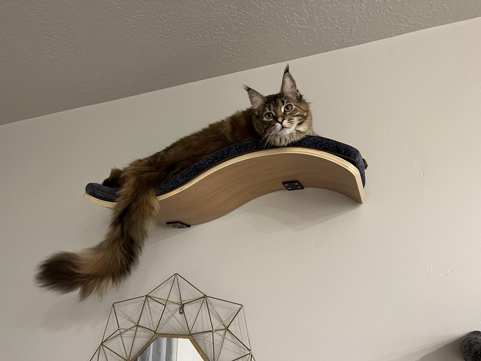 Cat Shelf with Comfortable Cushion - Wave Modern Cat Bed - Minimalistic Floating Wall Perch - Wooden Wall Mounted Cats Furniture for Sleeping, Playing, Climbing, and Lounging, Walnut customer photo 1