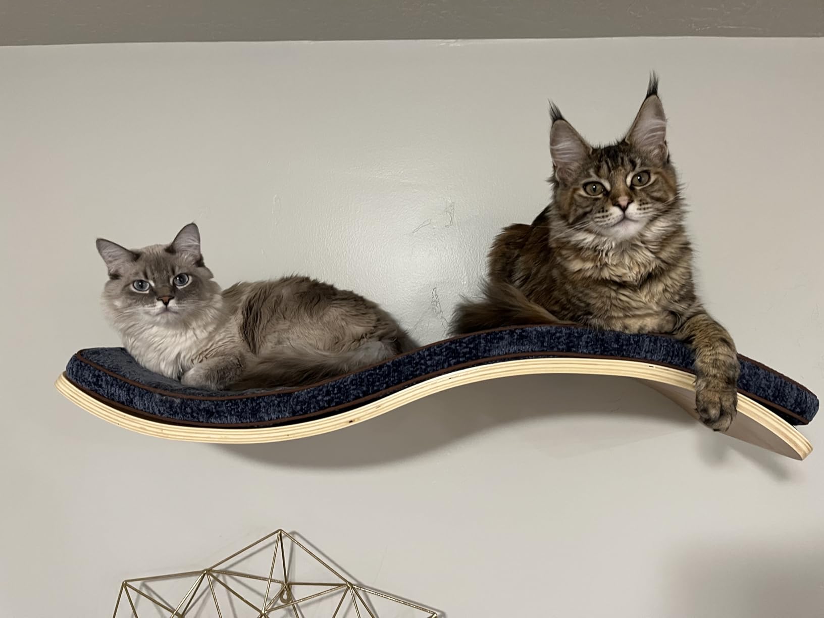 Cat Shelf with Comfortable Cushion - Wave Modern Cat Bed - Minimalistic Floating Wall Perch - Wooden Wall Mounted Cats Furniture for Sleeping, Playing, Climbing, and Lounging, Walnut customer photo 2