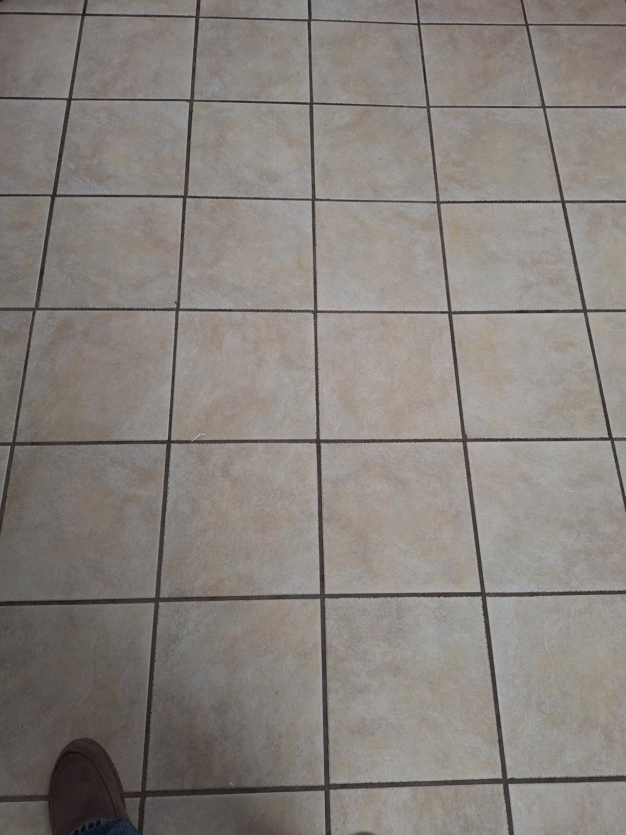 Shark Steam & Scrub with Steam Blaster Technology, White, S8201 | All-in-One Hard Floor Steam Mop with 3 Steam Modes & LED Headlights customer photo 2