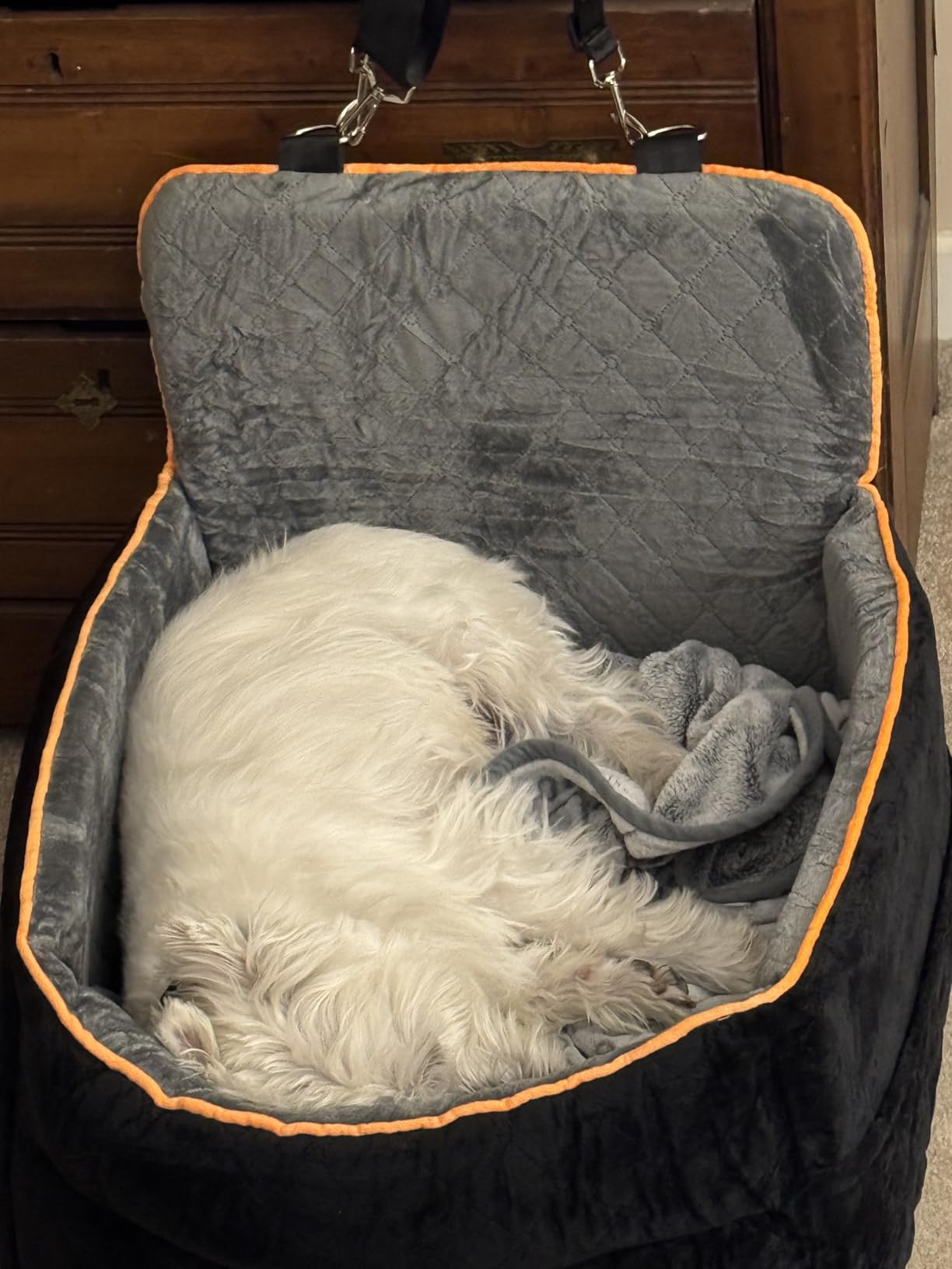 HEGGCOOE Small Dog Car Seat, Memory Foam Dog Booster Car Seats with Thick Cushion for Medium Dogs Under 35lbs, Detachable Washable Dog Bed for Car, Pet Carseat with Storage Pockets,2 Safety Belts customer photo 1