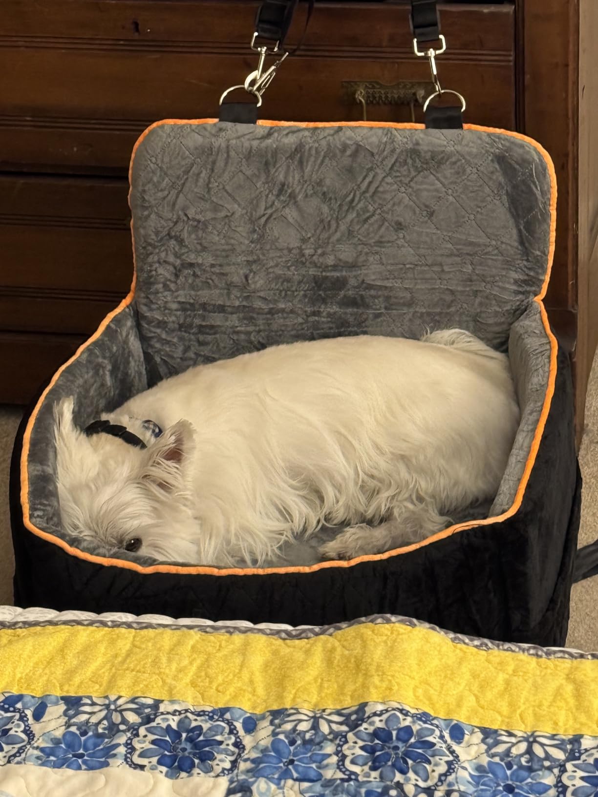 HEGGCOOE Small Dog Car Seat, Memory Foam Dog Booster Car Seats with Thick Cushion for Medium Dogs Under 35lbs, Detachable Washable Dog Bed for Car, Pet Carseat with Storage Pockets,2 Safety Belts customer photo 2