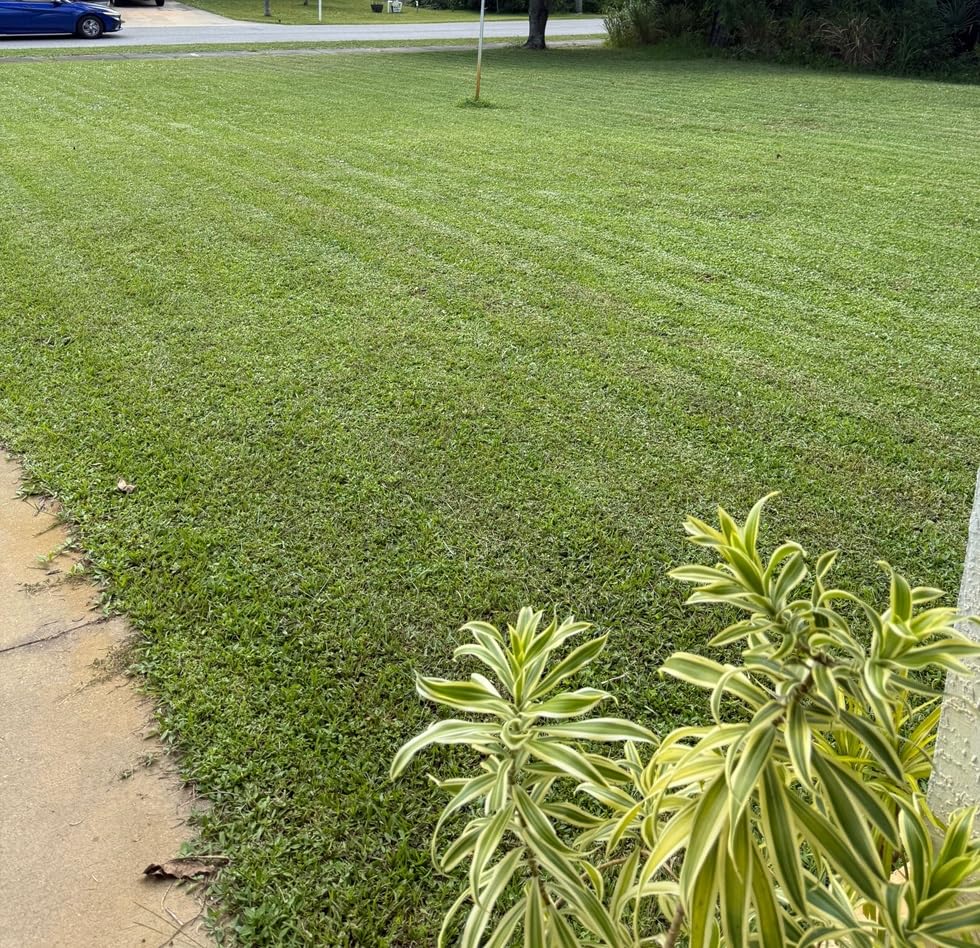 Sunseeker X7 AWD Robot Lawn Mower, RTK, Vision AI, 0.75 Acre, Wire-Free customer photo 1