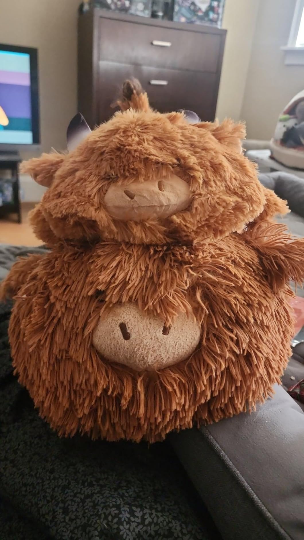 Mewaii Weighted Stuffed Animals Highland Cow Plush, 4 lb, 23in | Mom's Choice Award, Huggable Plushies, Realistic Scottish Cow Design, Cozy Gift for Kids & Adults customer photo 1