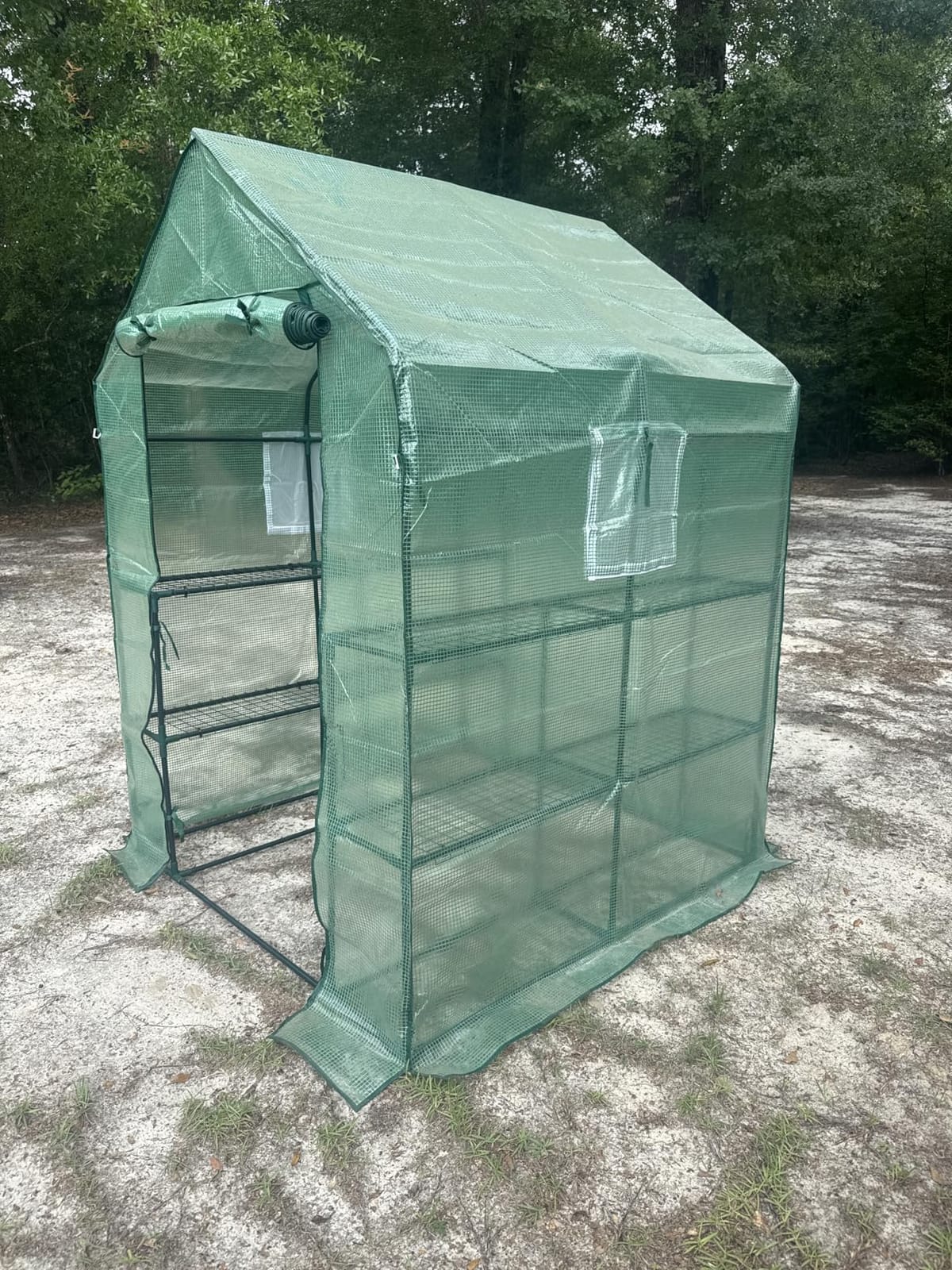 SPECILITE 56×56×78Inch Walk-in Greenhouse for Outdoors Garden Plant, Green | Thicken PE Cover, Steel Frame, Zipper Roller Door, Screen Side Window, Heavy Duty Small Plant House customer photo 1