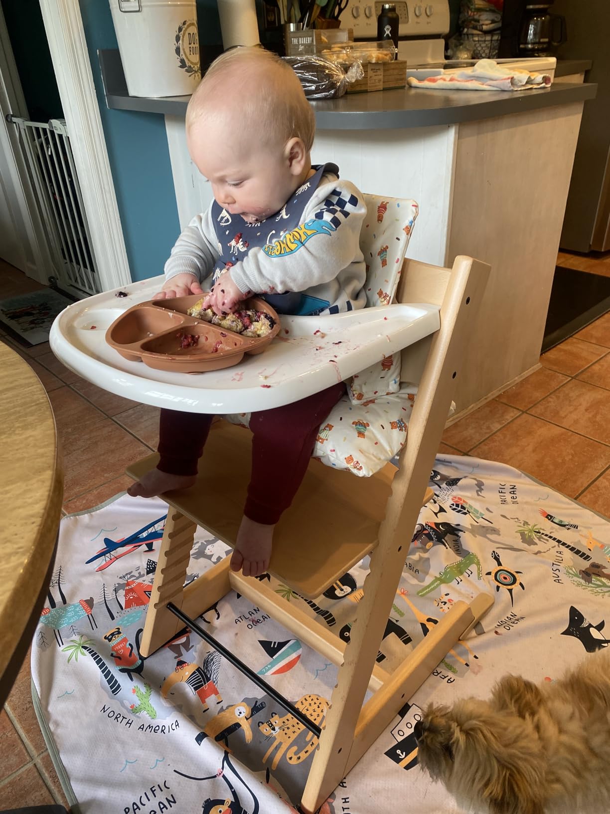 Stokke Tripp Trapp High Chair + Baby Set + Harness, Natural | Includes Chair, Baby Set, Removable Harness for Children 6-36 Months, Adjustable, Ergonomic & Easy to Clean, Baby Essentials customer photo 2