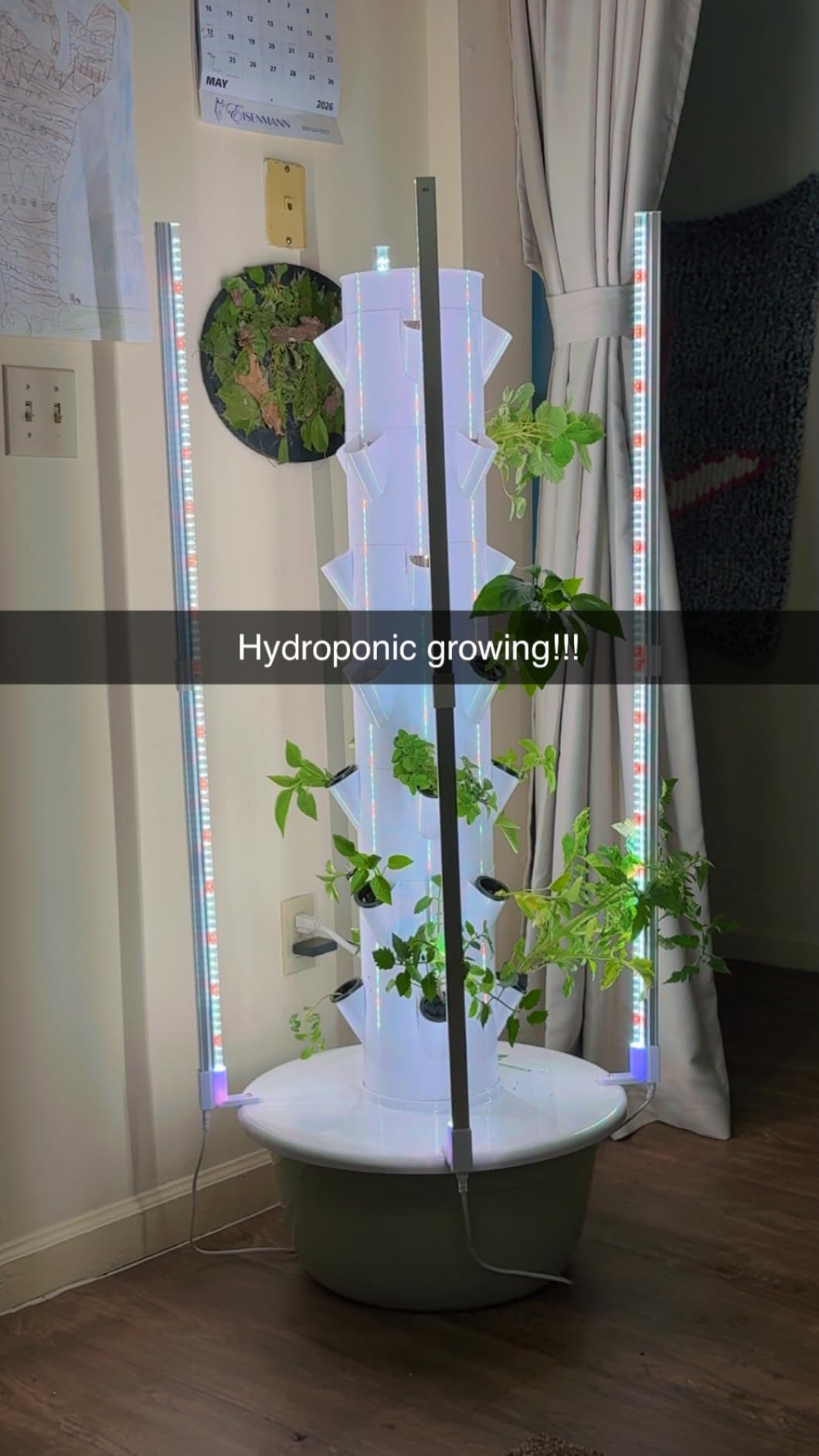 BAOSHISHAN 7 Layer 28 Pods Hydroponic Growing Tower with Foldable LED Light | Durable ABS Space-Saving Tower, Smart Water Circulation, Year-Round Indoor Veggies, Herbs & Fruits, Beginner-Friendly Kit customer photo 1