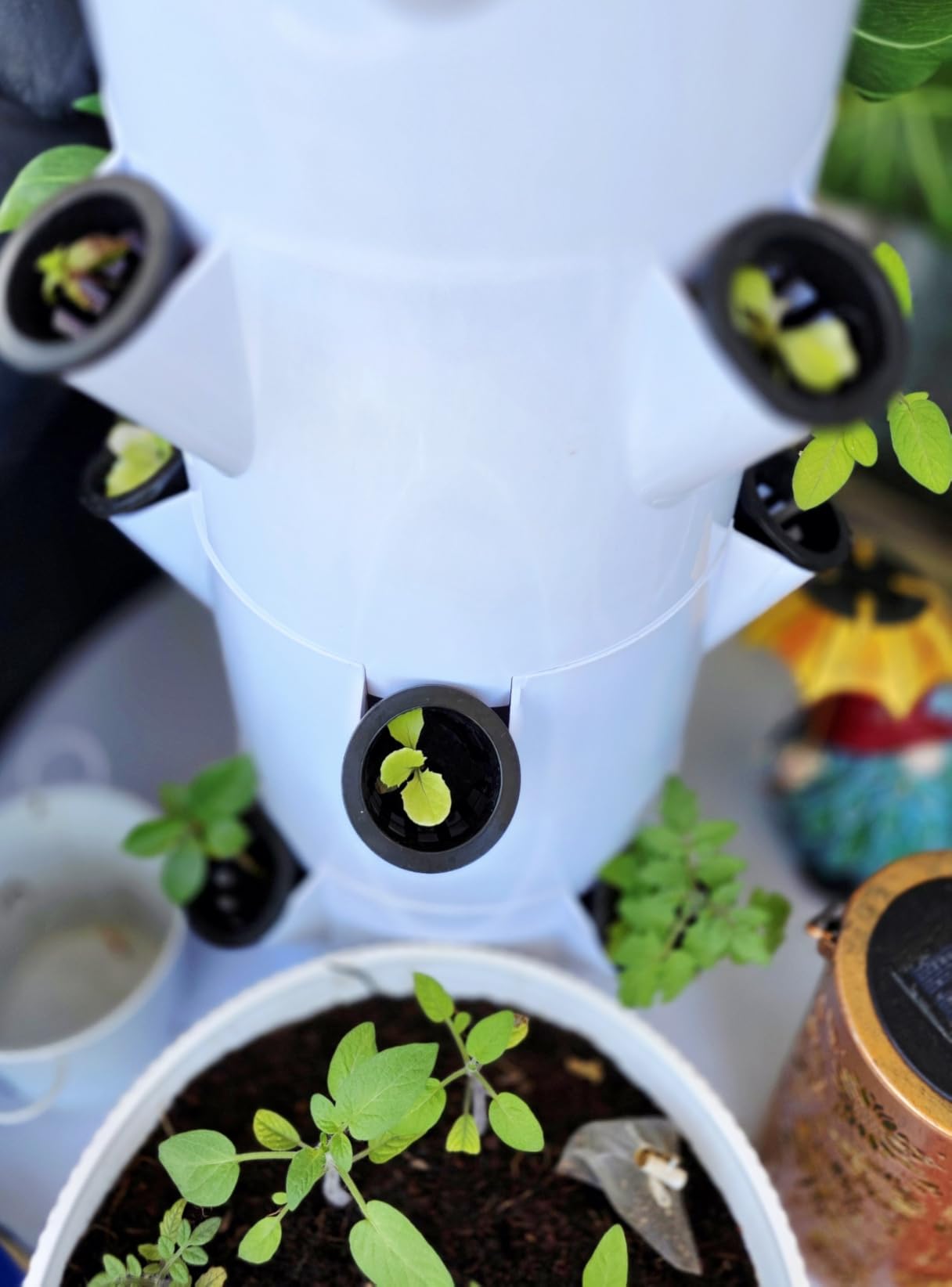 BAOSHISHAN 7 Layer 28 Pods Hydroponic Growing Tower with Foldable LED Light | Durable ABS Space-Saving Tower, Smart Water Circulation, Year-Round Indoor Veggies, Herbs & Fruits, Beginner-Friendly Kit customer photo 2