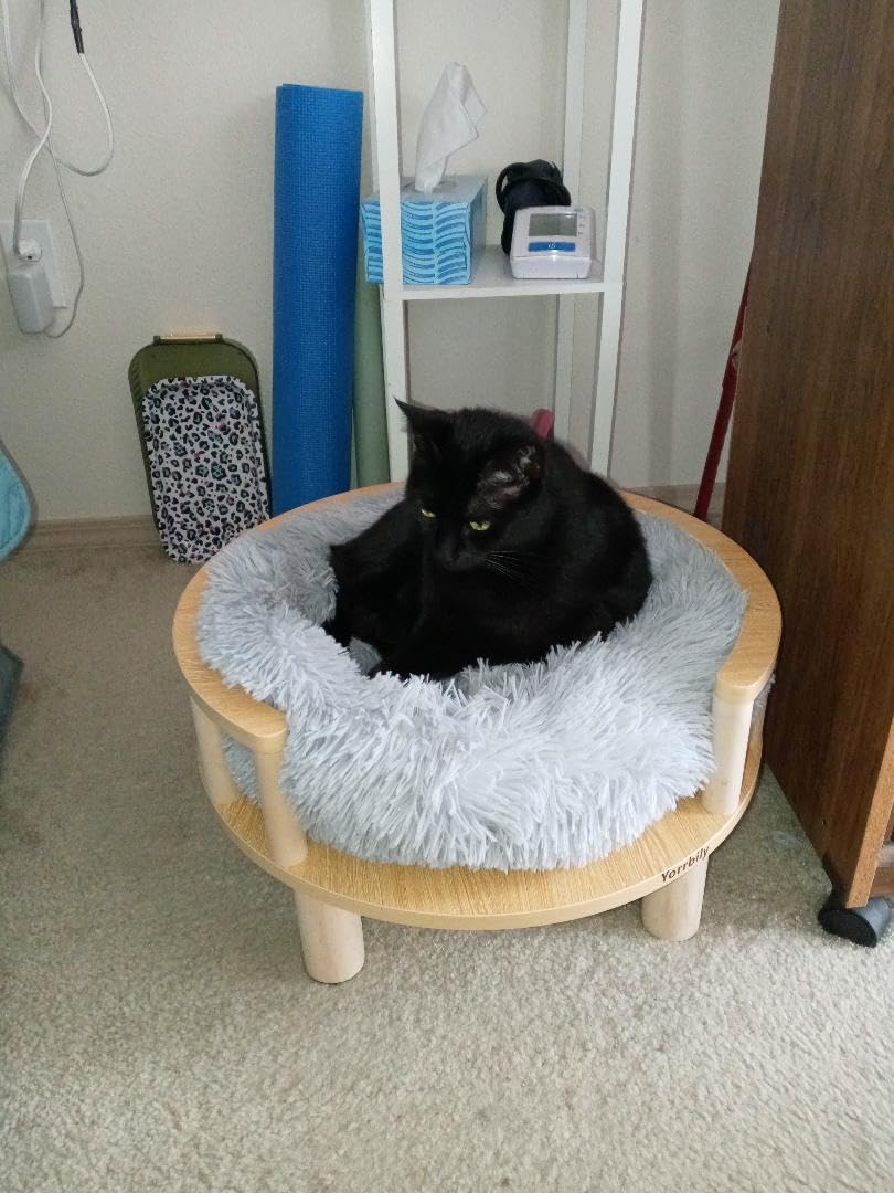 Cat Bed Cave - Cat Beds for Indoor Cats, Soft and Comfortable, Cute Cat House, with Removable Washable Cushioned Pillow, Enclosed Cat Bed, Kitty Pet Hut, Hideaway, Small Dog Tent, Grey customer photo 1