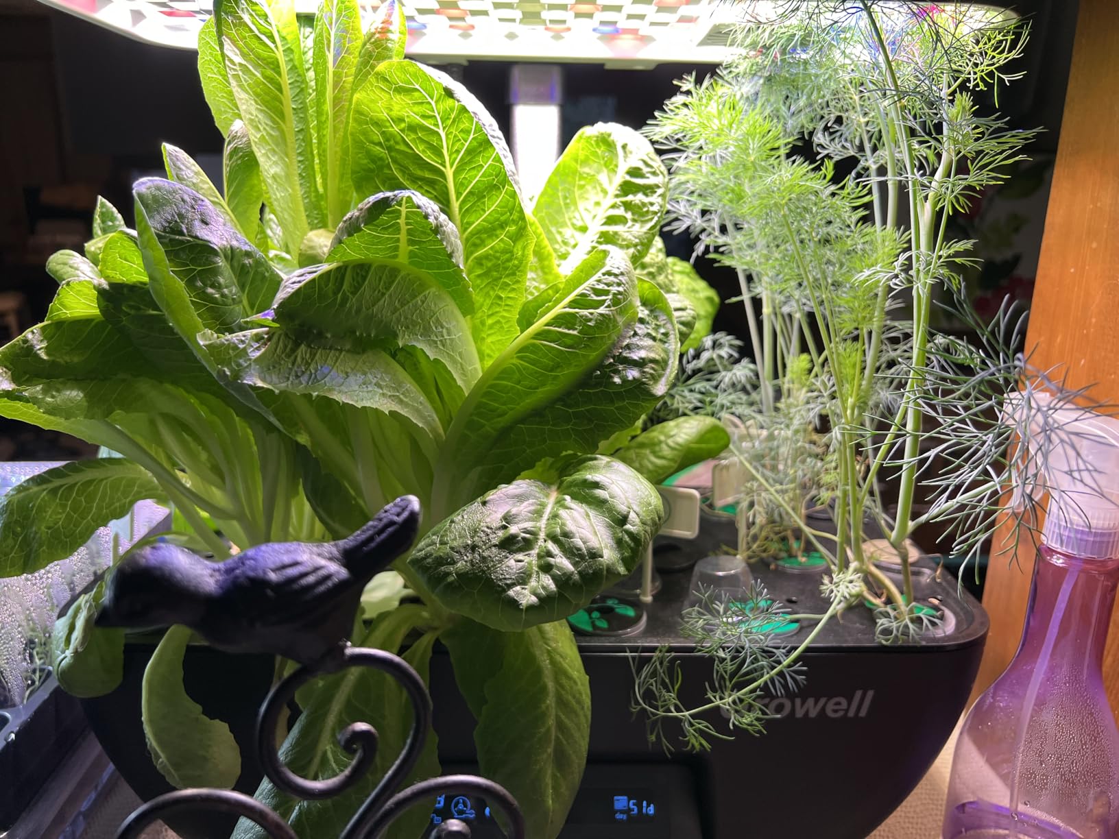 Growell Hydroponics Growing System, 17 Pods Large Indoor Garden with 2 Fans | 102 28W Full-Spectrum Grow Lights, Auto-Circulating Water Pump, 10L Water Tank, Auto Timer, 23.8