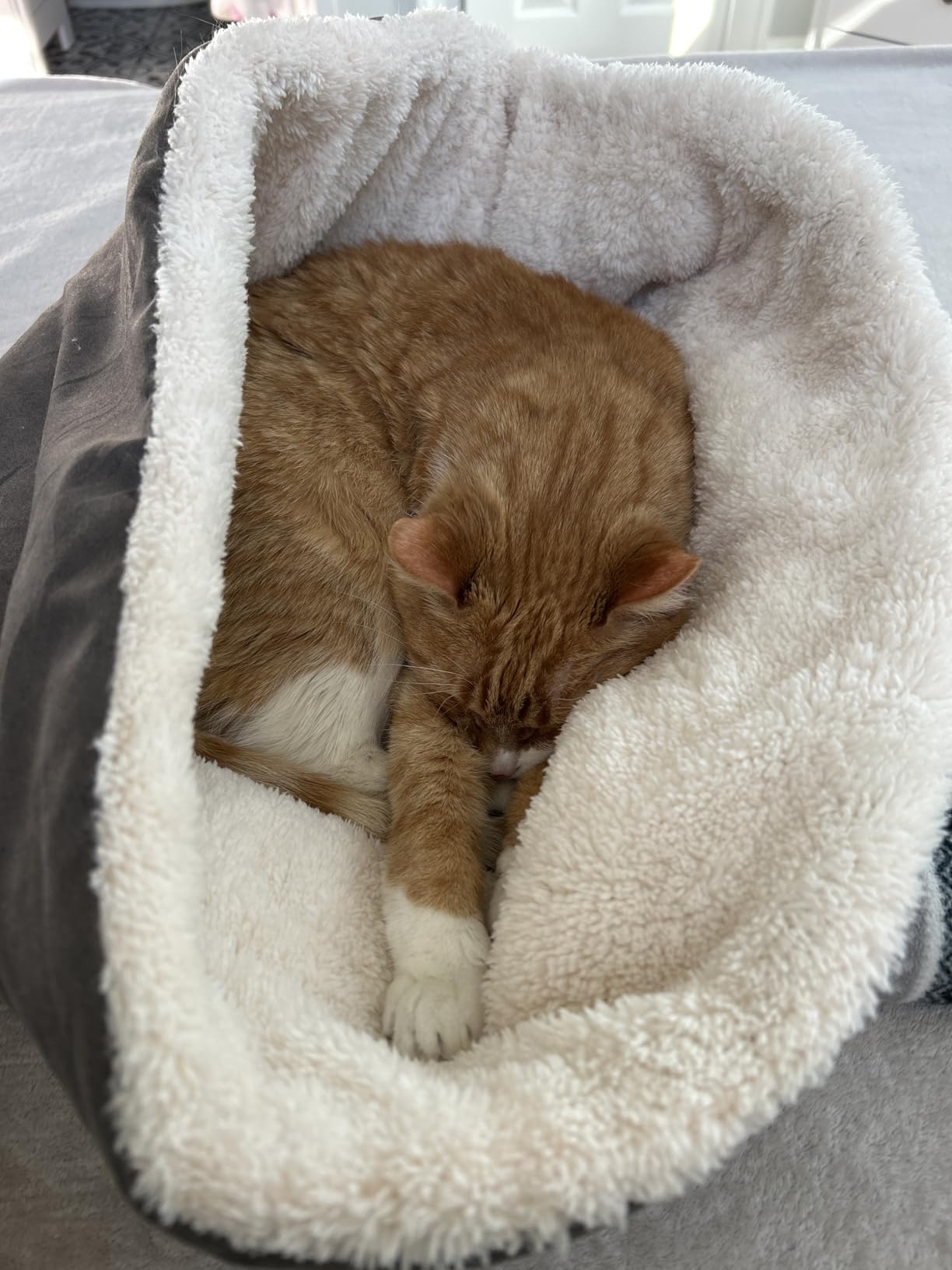 Heated Cat Bed with Pet Pad, 17.7