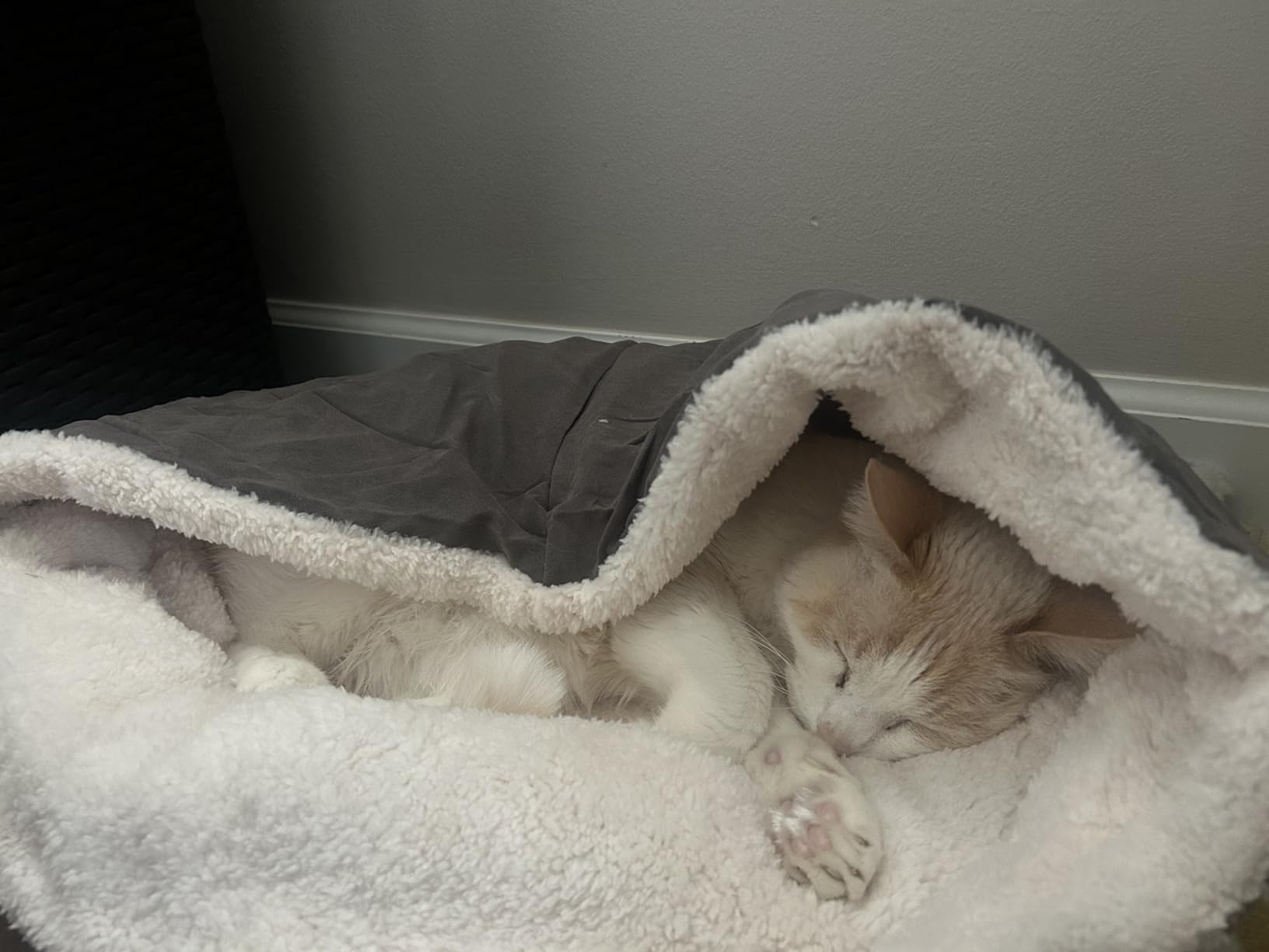 Heated Cat Bed with Pet Pad, 17.7