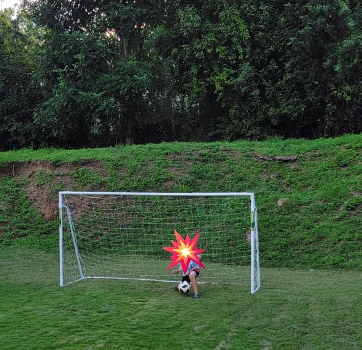 Soccer Goal 12x6, 8x6 and 6x4 FT Soccer Goals for Backyard, 2 inch Diameter Steel Goal for Kids and Adults Large Soccer Goal Powder Coated Galvanized Steel Post with Soccer Target Net for Training customer photo 1