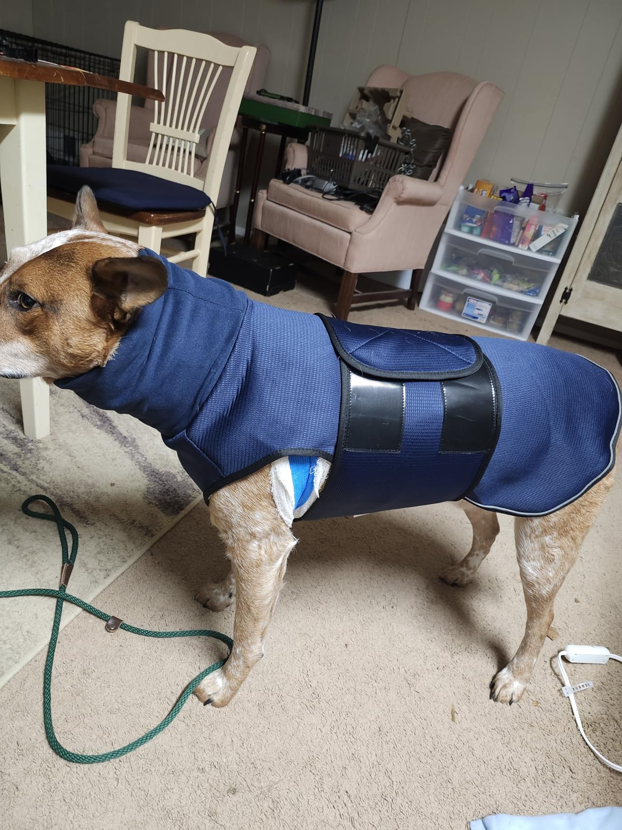 JOHNBOLIN Dog Anxiety Jacket, Dog Shirt with Turtleneck, Breathable Calming Vest, Indoor and Outdoor Separated Pet Jacket (Military Green, Medium) customer photo 2