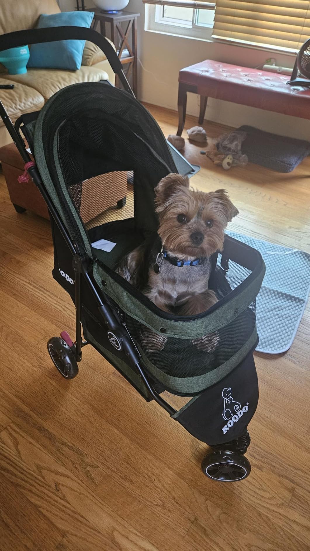 ROODO 3 Wheel Dog Pet Cat Stroller Best Lightweight Foldable Compact Portable Jogger All Terrain Travel Pet Gear Puppy Kitty Stroller for up to 30lbs Medium Small Dogs and Cats customer photo 2