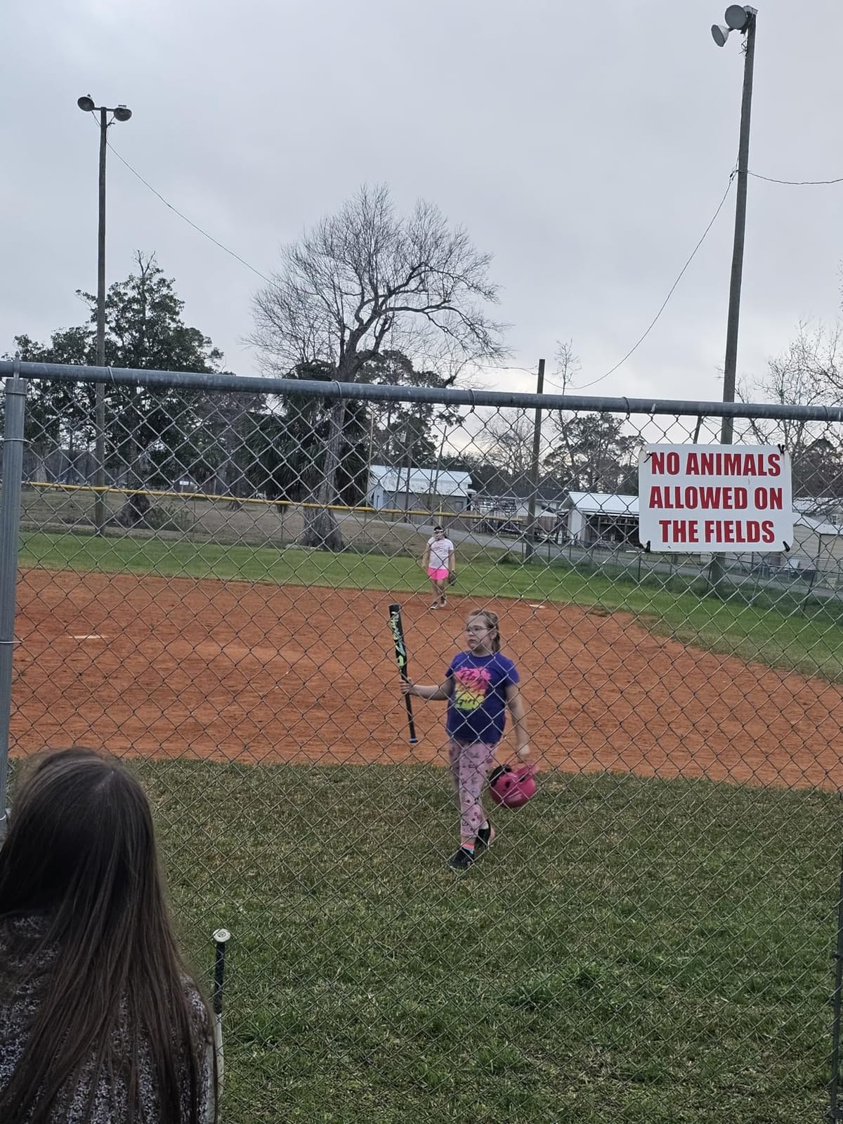 DeMarini 2025 Zenith (-13) Fastpitch Softball Bats - 28