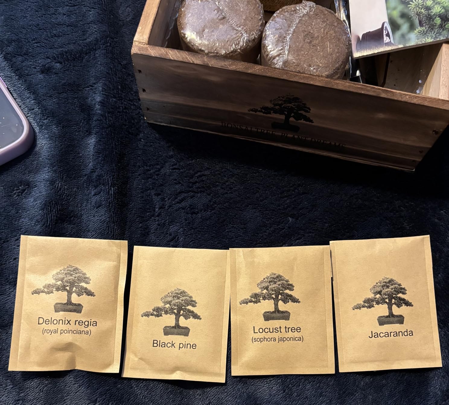 Bonsai Tree Starter Kit for Beginners - Indoor Live Plant Gardening Adult Craft DIY Kits - Unique Christmas, Birthday, White Elephant Gifts for Women, Men, Boys & Girls | Suitable for Women, Men, Boys & Girls, Ideal Gift for Christmas, Birthday and White Elephant Party customer photo 2