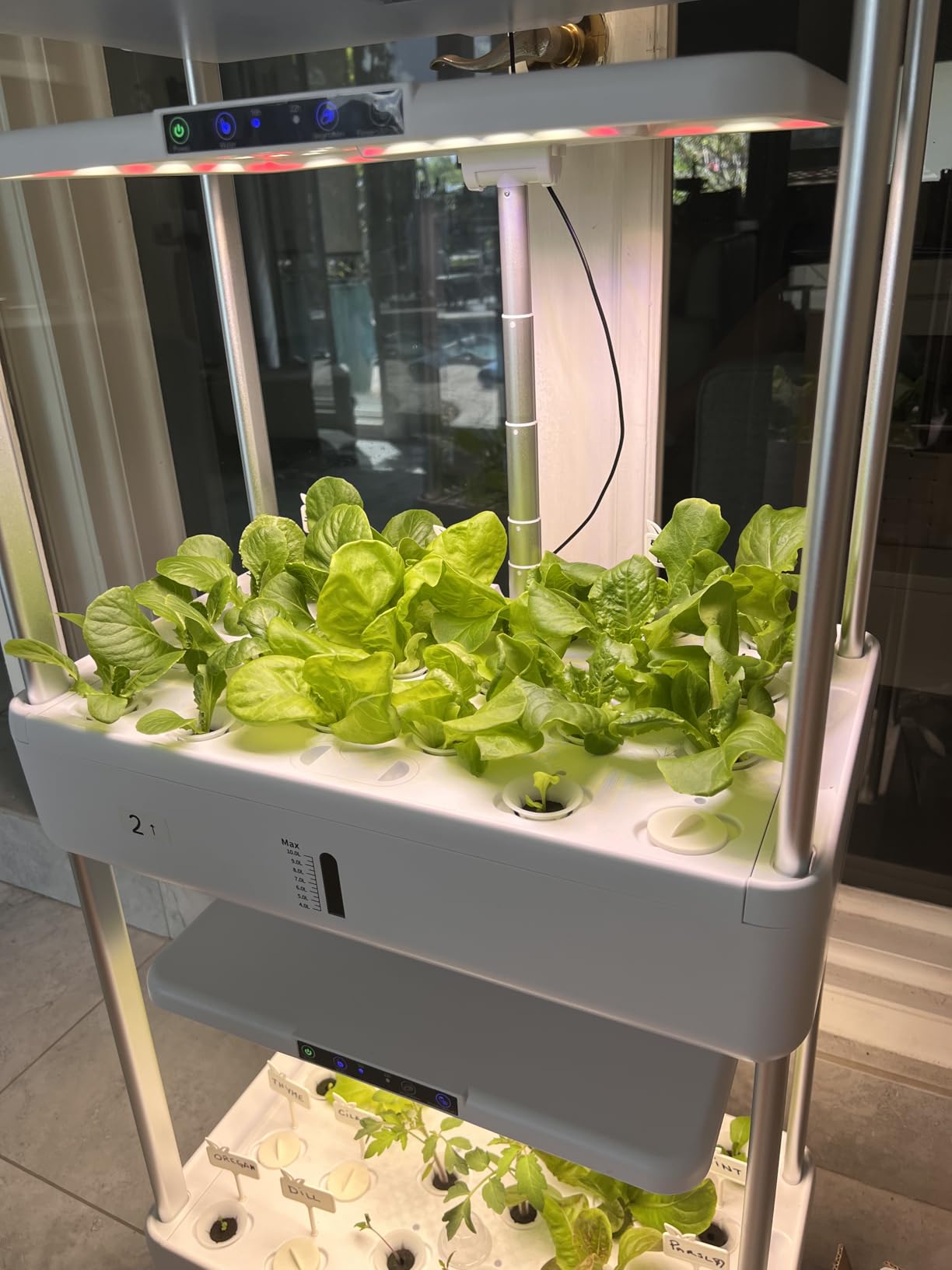 Ahopegarden Indoor Garden Hydroponics Growing System Kit: 66 Pods Plant Herb Garden Germination Kit with LED Grow Light, 30L Large Capacity Kitchen Hydroponics Planter Grower for Vegetable Fruit customer photo 2