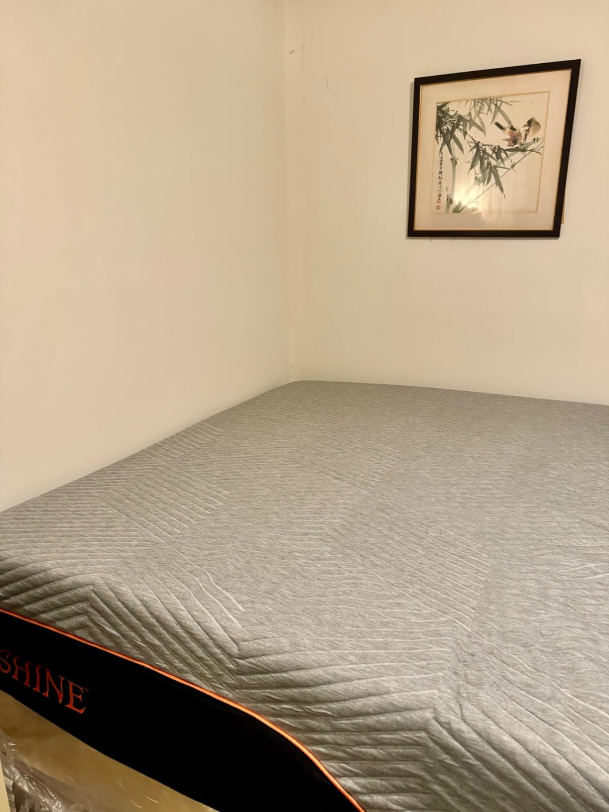 ESHINE Queen Mattress for Back Pain & Pressure Relief, 14