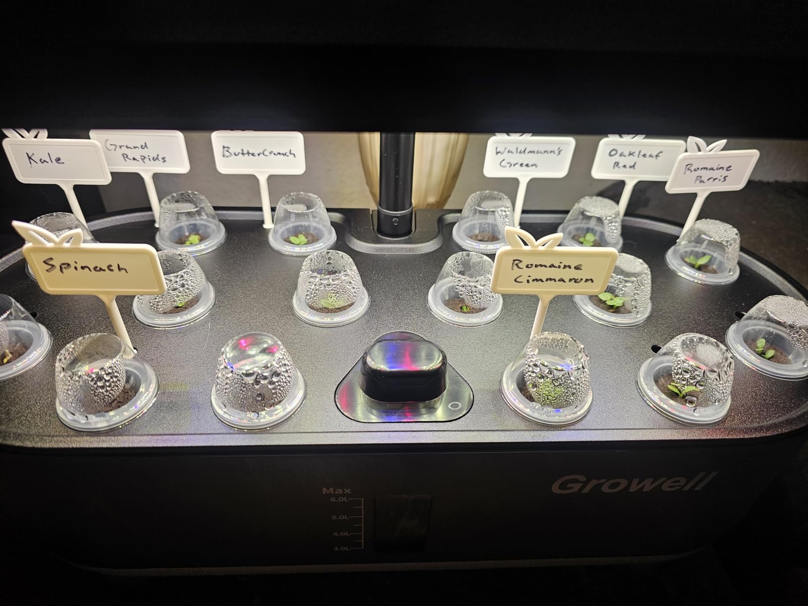 Growell Hydroponics Growing System Kit, 16 Pods Indoor Garden with 28W Full Spectrum LED Grow Light, Auto Timer, 3 Smart Light Modes, 8L Large Herb Garden, Ideal Gardening Gift for Women, Men (Gray) customer photo 1