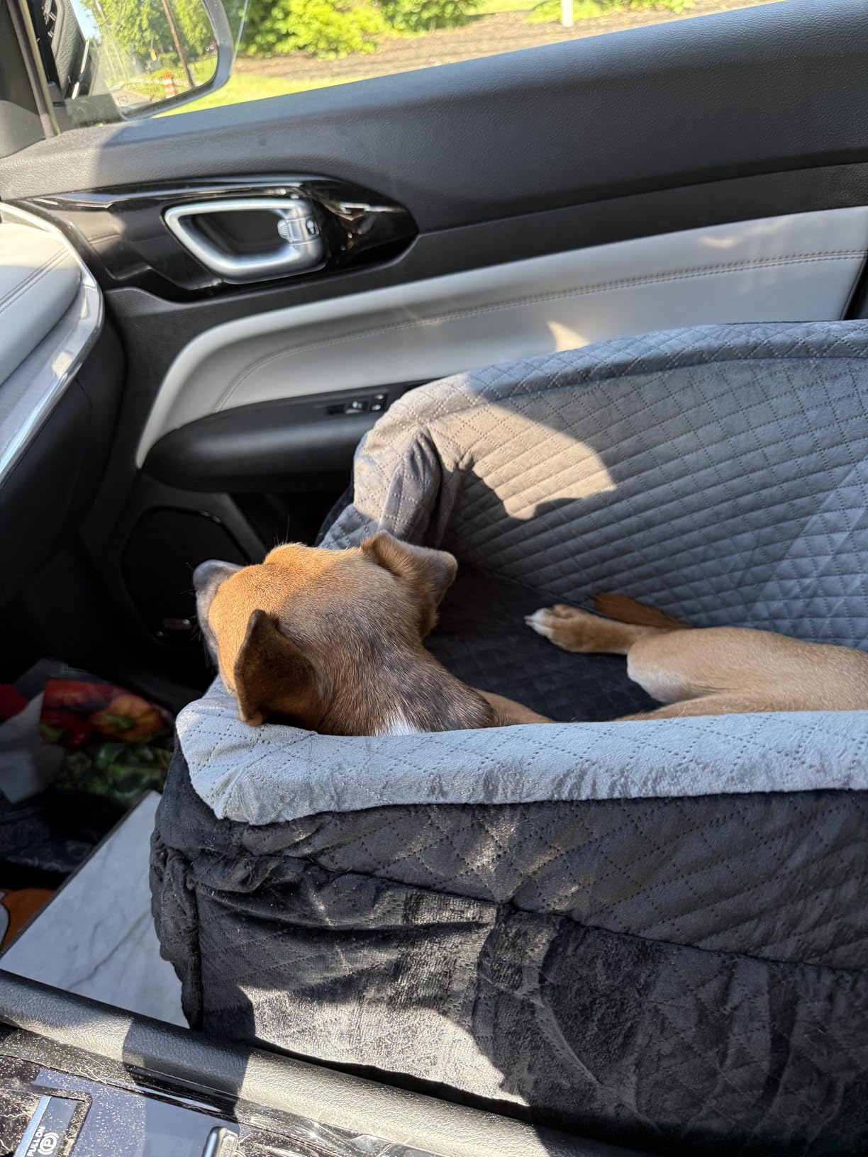 Vivifying Dog Car Seat for Small & Medium Dogs, Detachable & Washable Booster Seat for Pets Up to 30lbs, Travel Bed with Storage Pockets and Safety Belt - Black customer photo 2