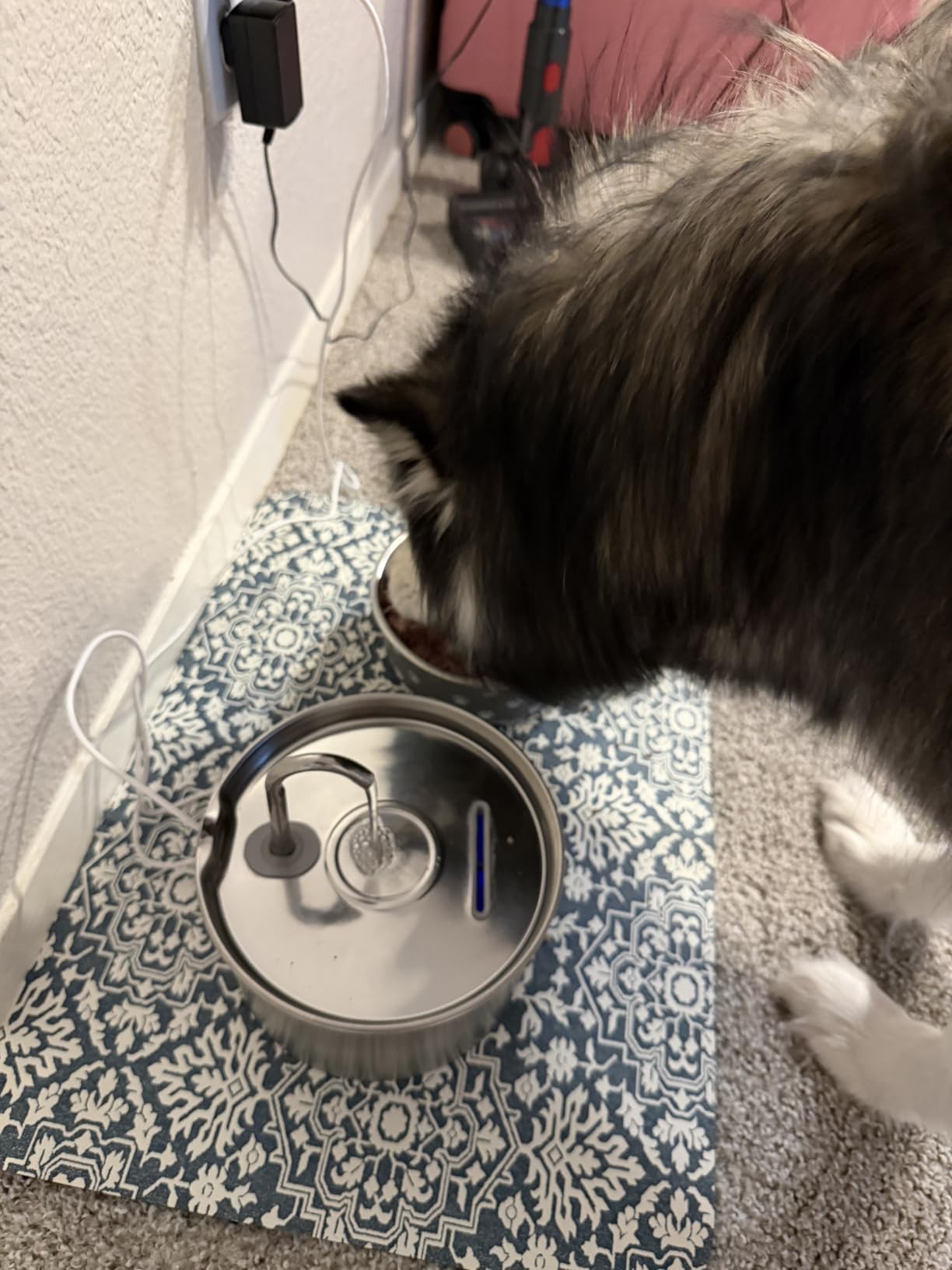 Cat Water Fountain Stainless Steel: 2.2 L Cat Fountain for Drinking - Automatic Pet Water Fountain for Cats Inside - Metal Cat Dog Water Dispenser Bowl with Faucet Water Level Window Ultra Quiet Pump customer photo 2
