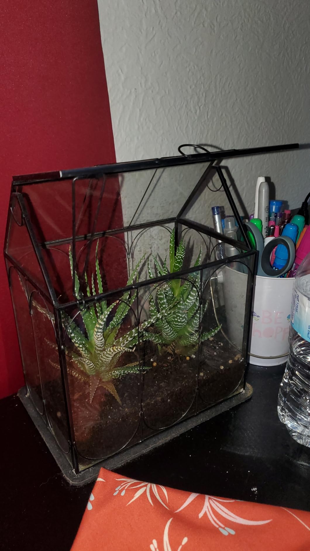 Plant Terrarium Kit with Grow Light, Rifny Small Glass Terrarium Jar with Absorbent Mat and Lid for Venus Fly Trap Succulent Live Air Plants Indoor Home Office Decor (Black, 7.1 x 4.8 x 8.8 inch) customer photo 2