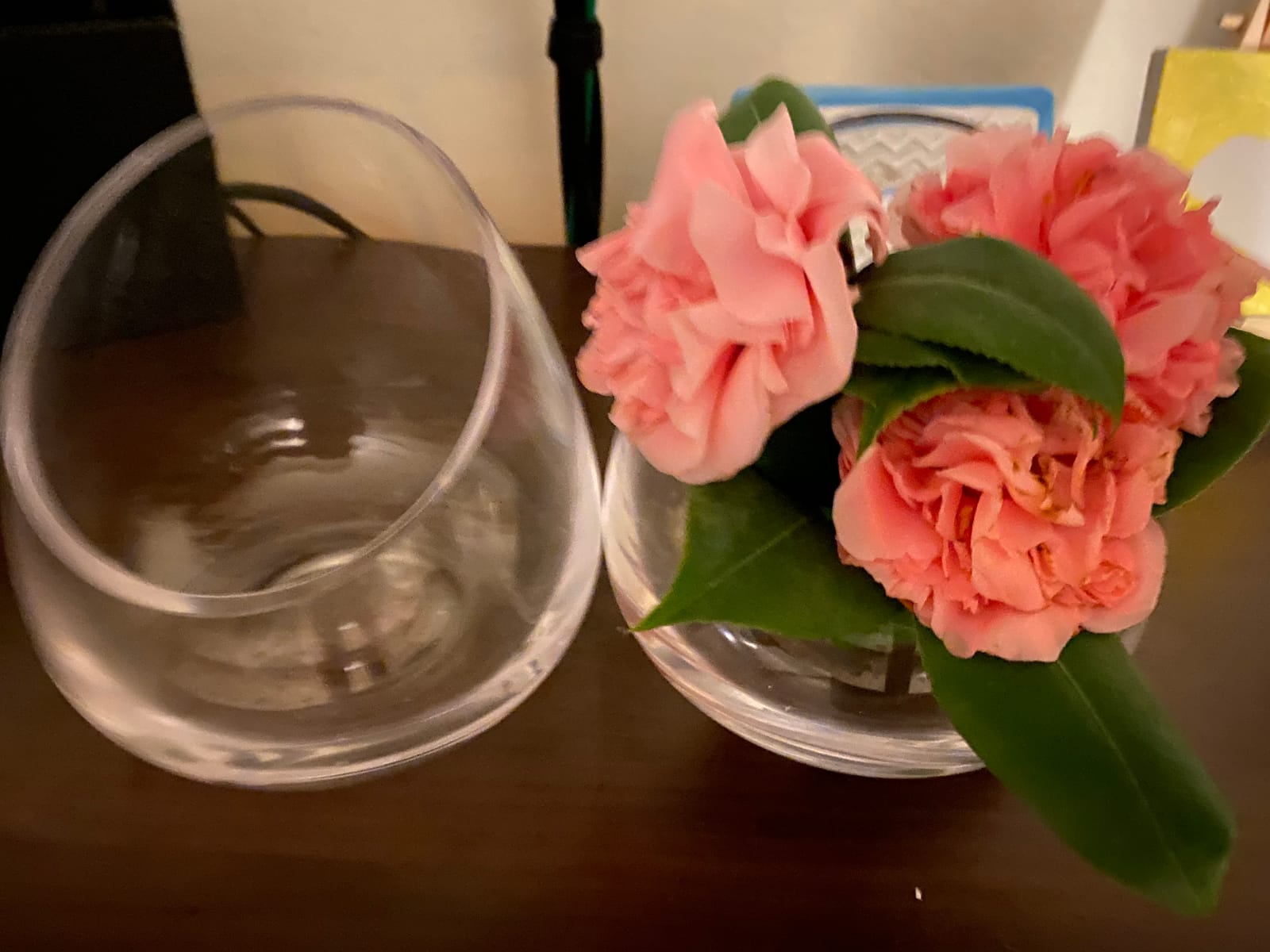 MyGift 5 Inch Premium Clear Glass Air Plant Terrarium, Tealight Candle Holder, Succulent Cactus Plant Vase, Set of 4 customer photo 1