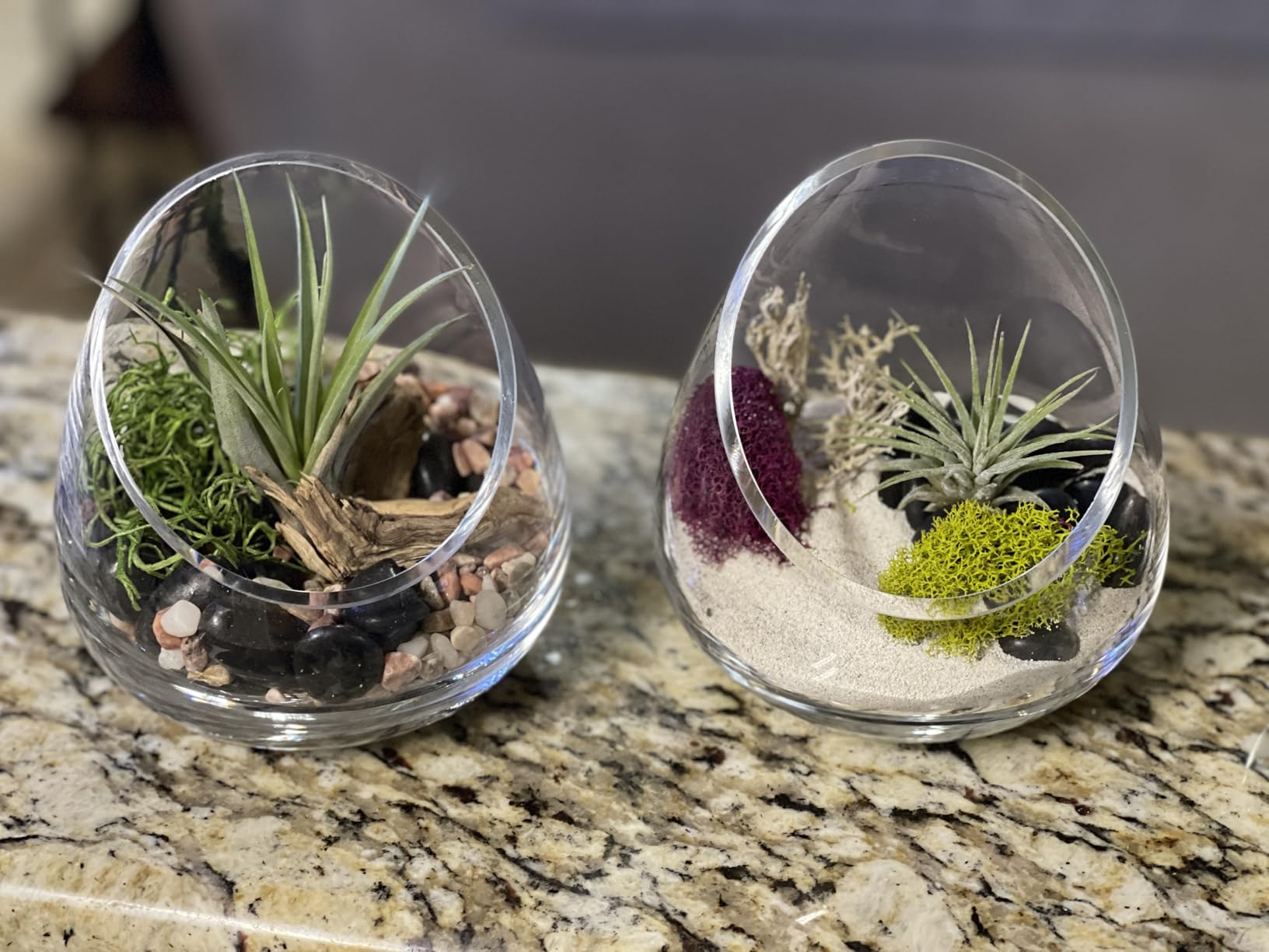 MyGift 5 Inch Premium Clear Glass Air Plant Terrarium, Tealight Candle Holder, Succulent Cactus Plant Vase, Set of 4 customer photo 2