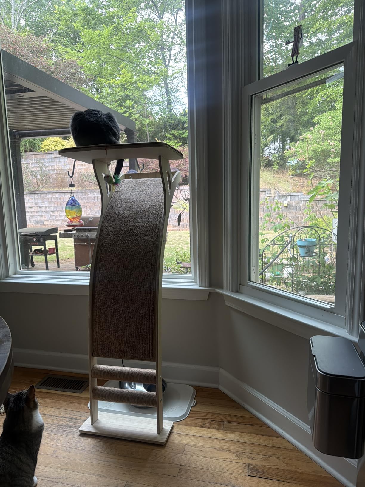 Cat Window Perch with Scratcher Ramp, 48-Inch Tall Wooden Climbing Tree | Fits Windows 13 Inches Wide or More;Heavy-Duty Suction Cups; Drill-Free; Sisal Scratching Mat; Holds Up to 45 lbs customer photo 2