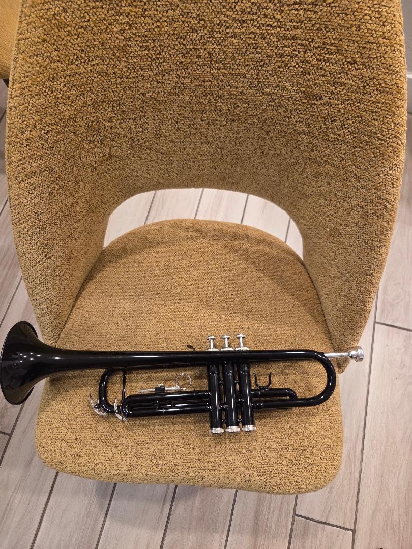 CAHAYA Bb Trumpet Instrument Brass Student Trumpet Trompeta Set Gold | Includes Hard Case, 7C Mouthpiece & Gloves. Standard Brass Trumpet Instrument for Beginner and Advanced Students customer photo 2