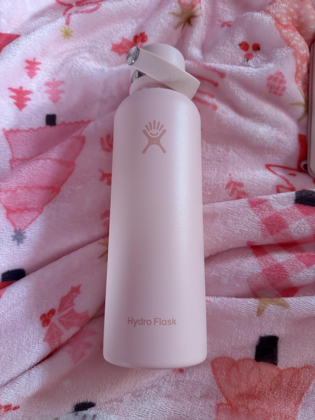 Hydro Flask Water Bottle - Insulated Stainless Steel - Non Spill, Leakproof in 24 Oz Agave Green customer photo 1
