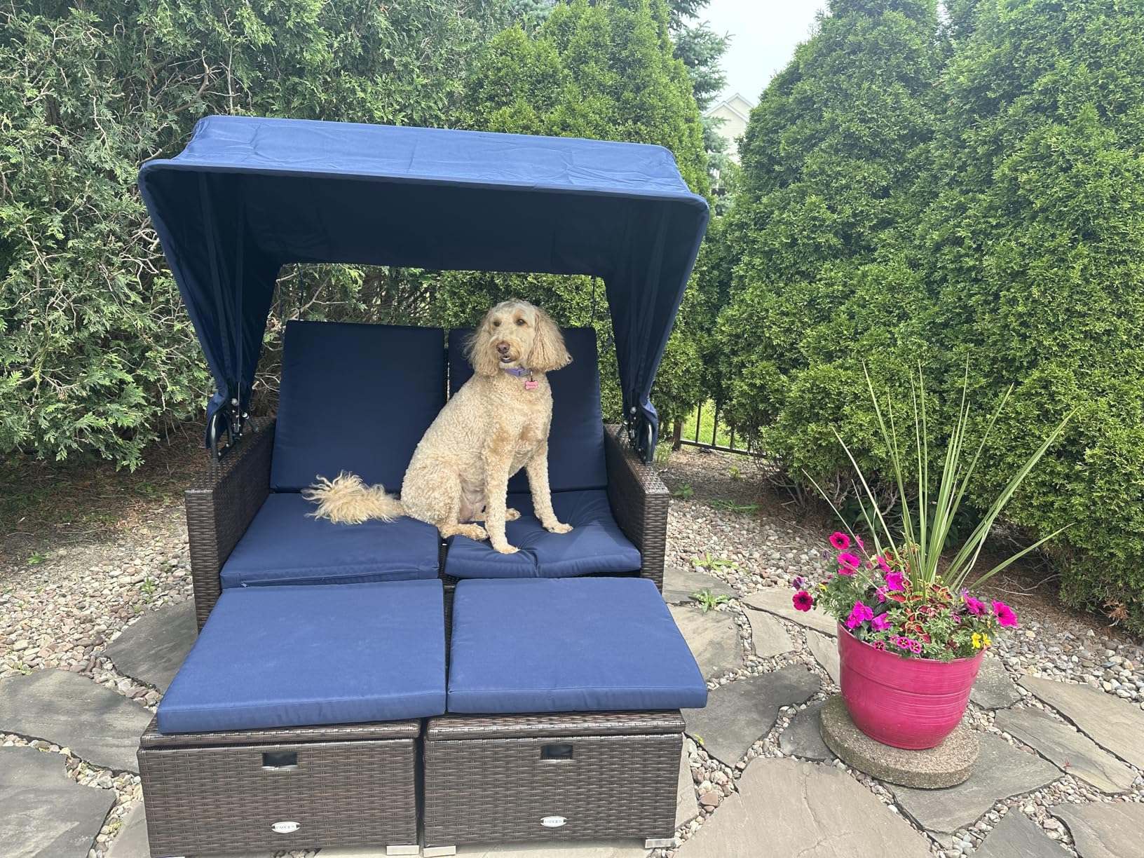 Tangkula Outdoor Rattan Daybed with Retractable Canopy & 4-Position Adjustable Backrests, 2 Folding Side Tables & 2 Storage Ottomans, Cushioned 2-Person Sunbed Lounger for Garden, Backyard, Poolside customer photo 1